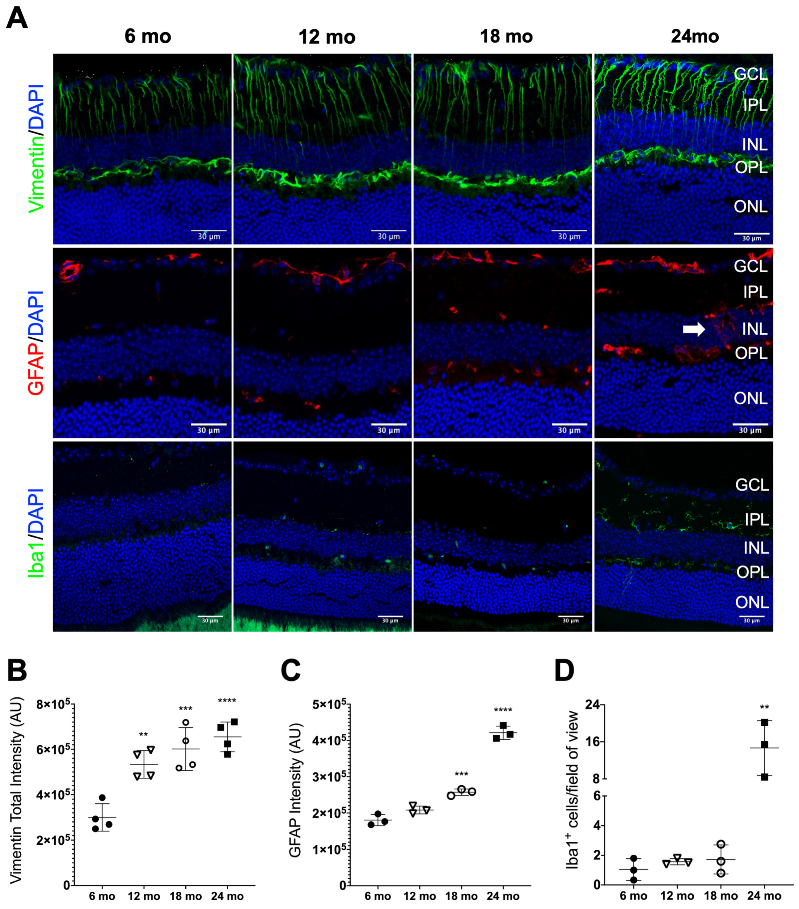 Biomolecules 13 00180 g002