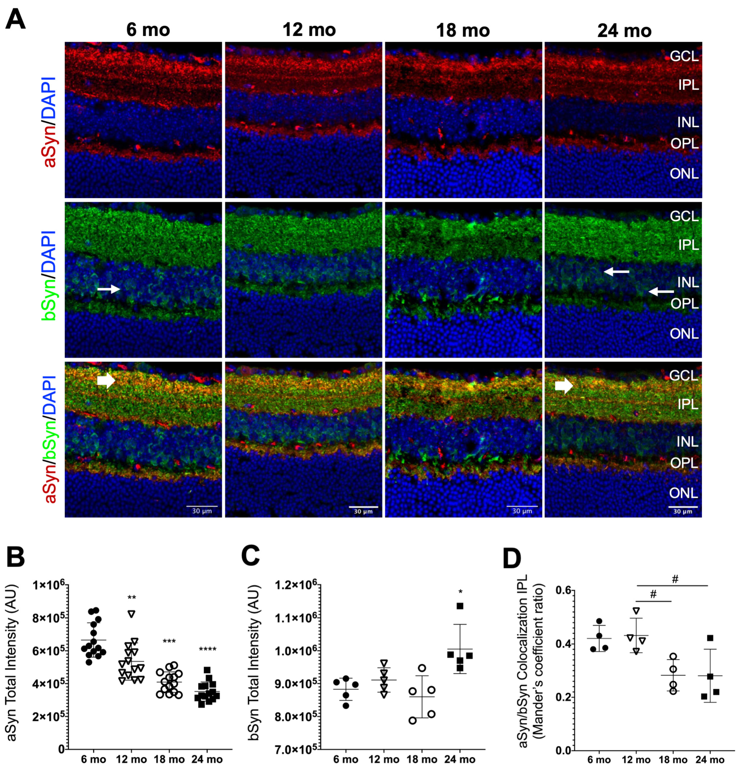 Biomolecules 13 00180 g003