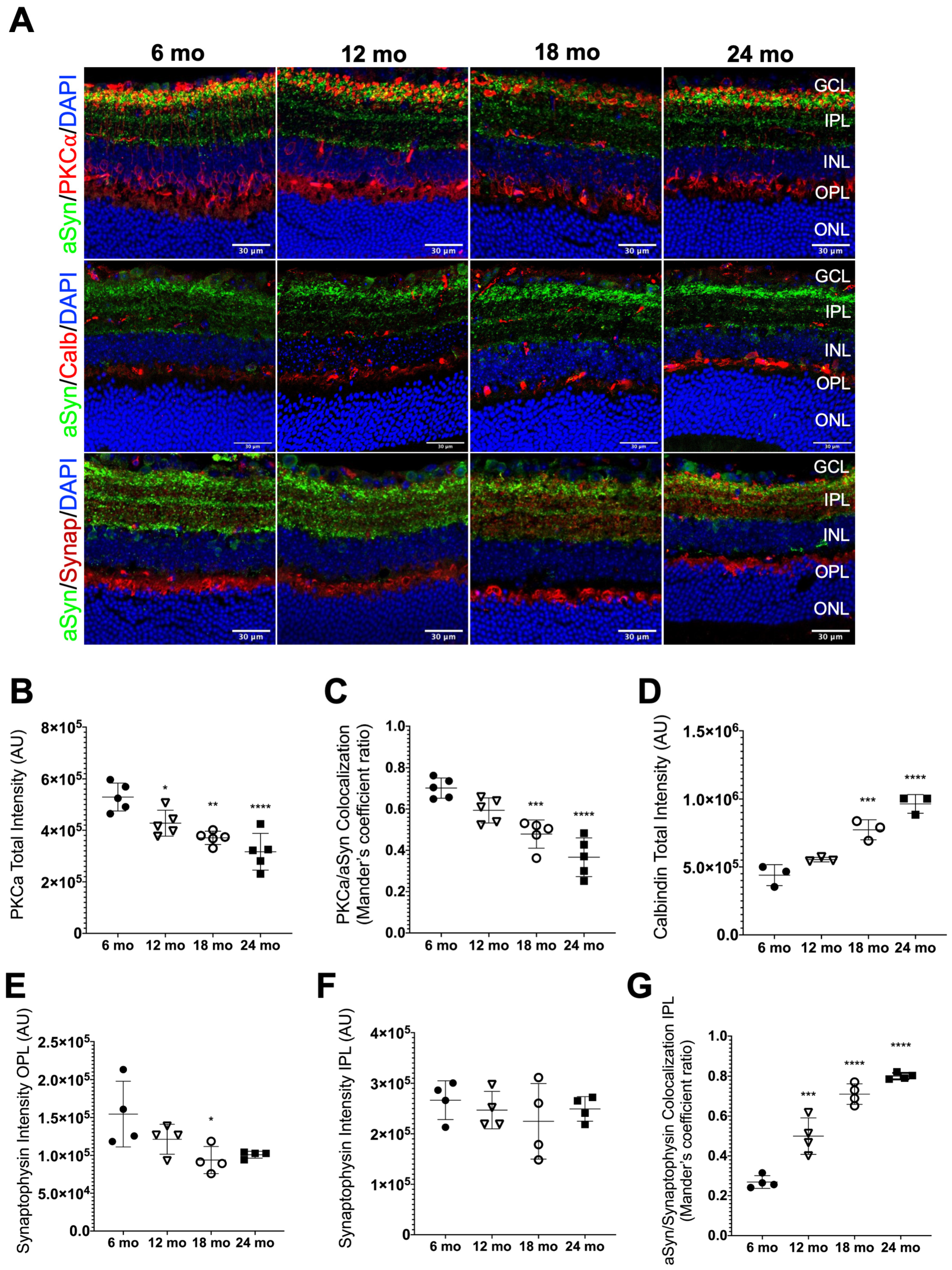 Biomolecules 13 00180 g005