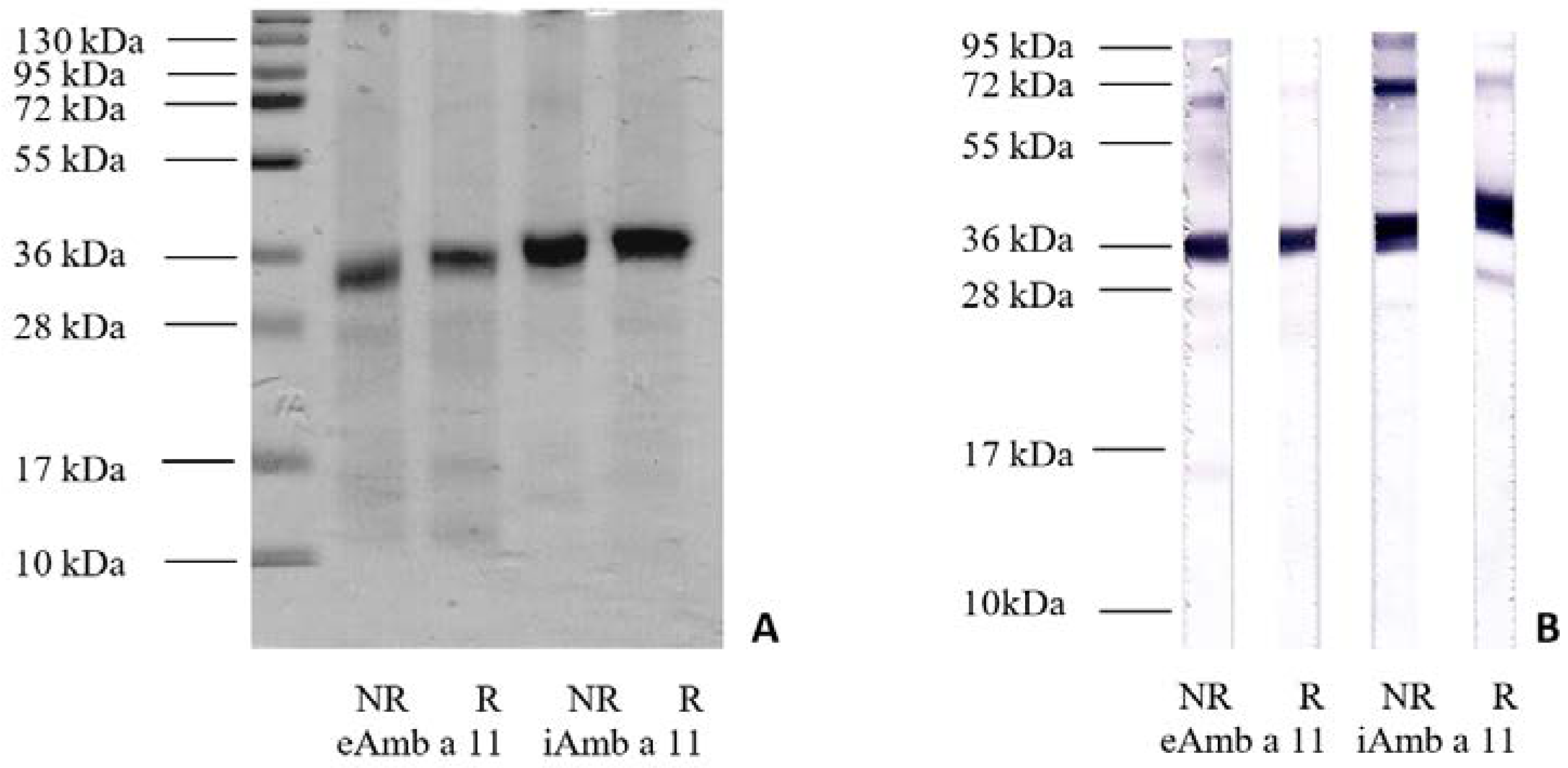 Biomolecules 13 00182 g001 Biomolecules 13 00182 g001