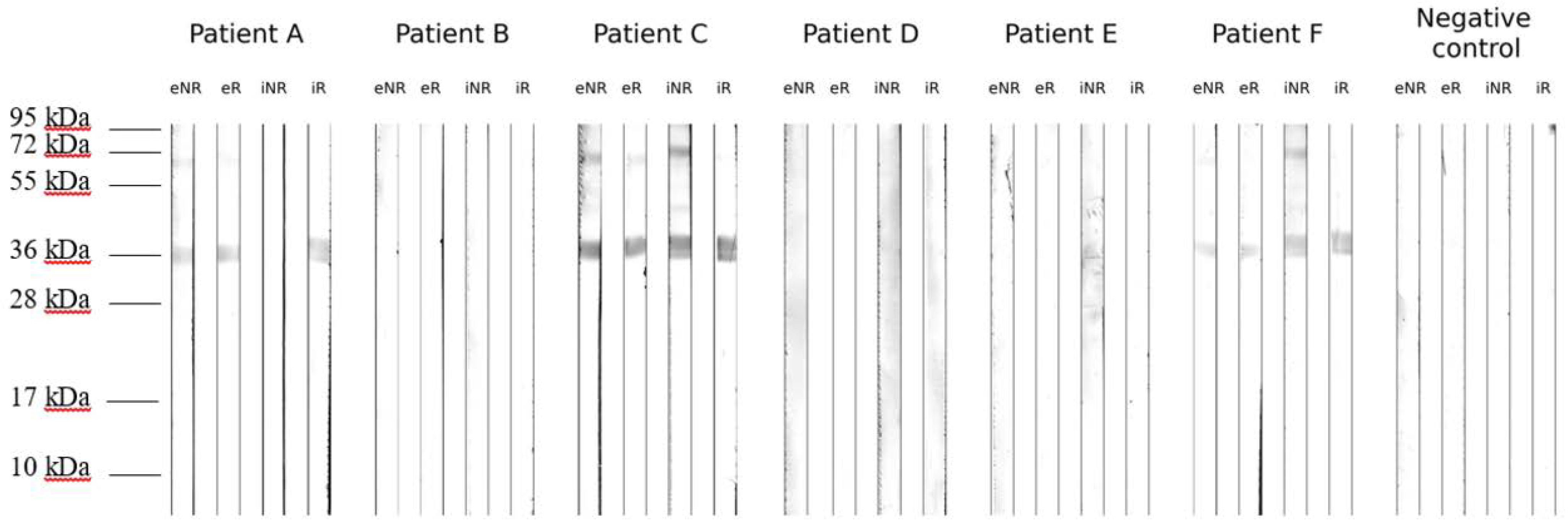 Biomolecules 13 00182 g002 Biomolecules 13 00182 g002