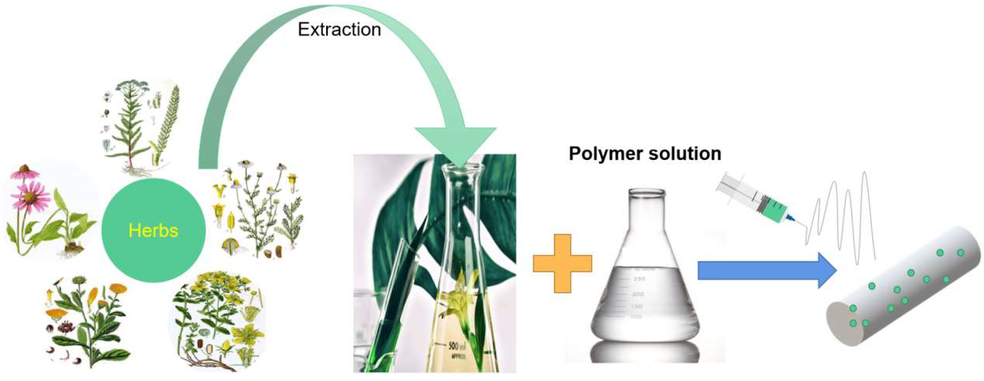 Biomolecules 13 00184 g001