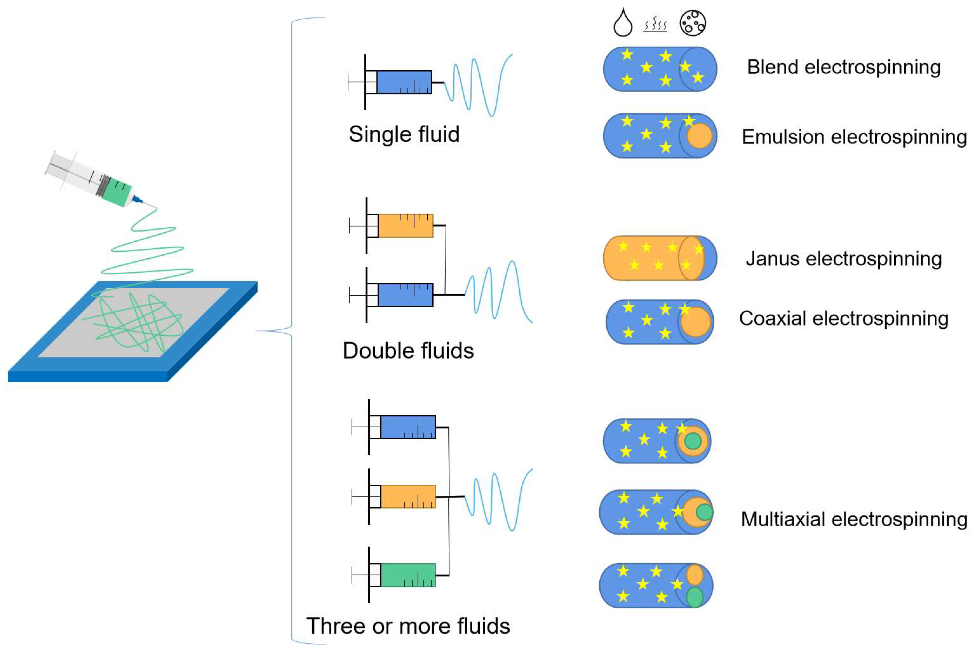 Biomolecules 13 00184 g004