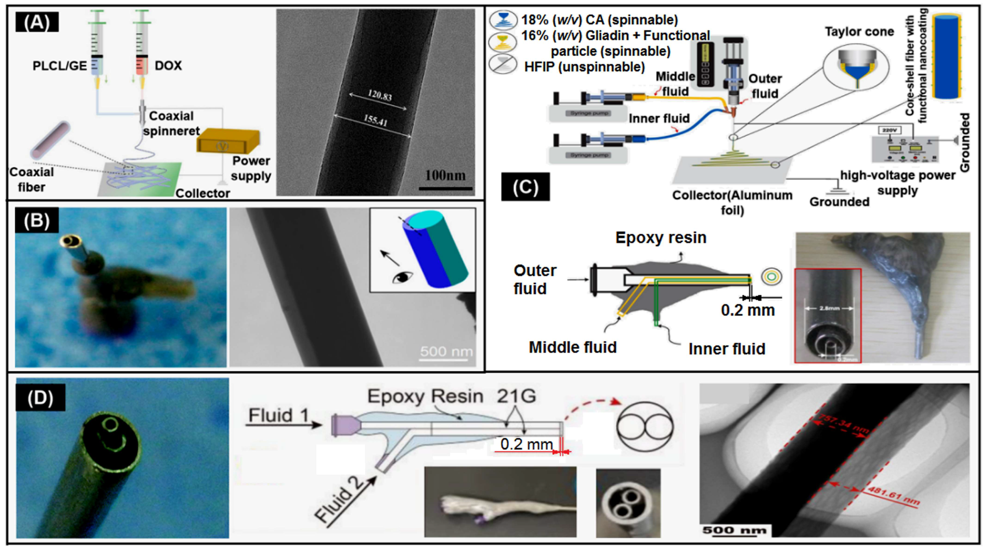 Biomolecules 13 00184 g005