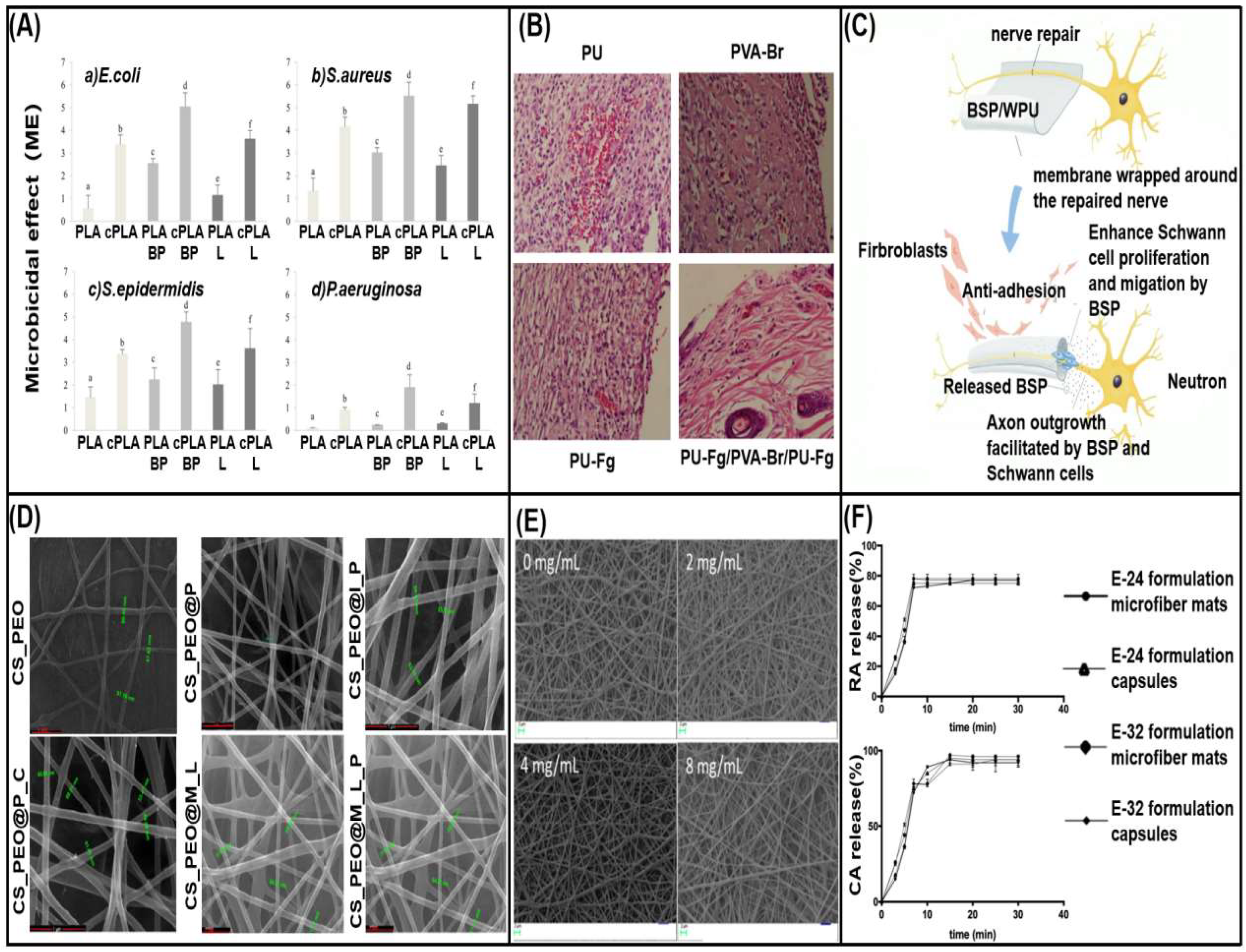 Biomolecules 13 00184 g007