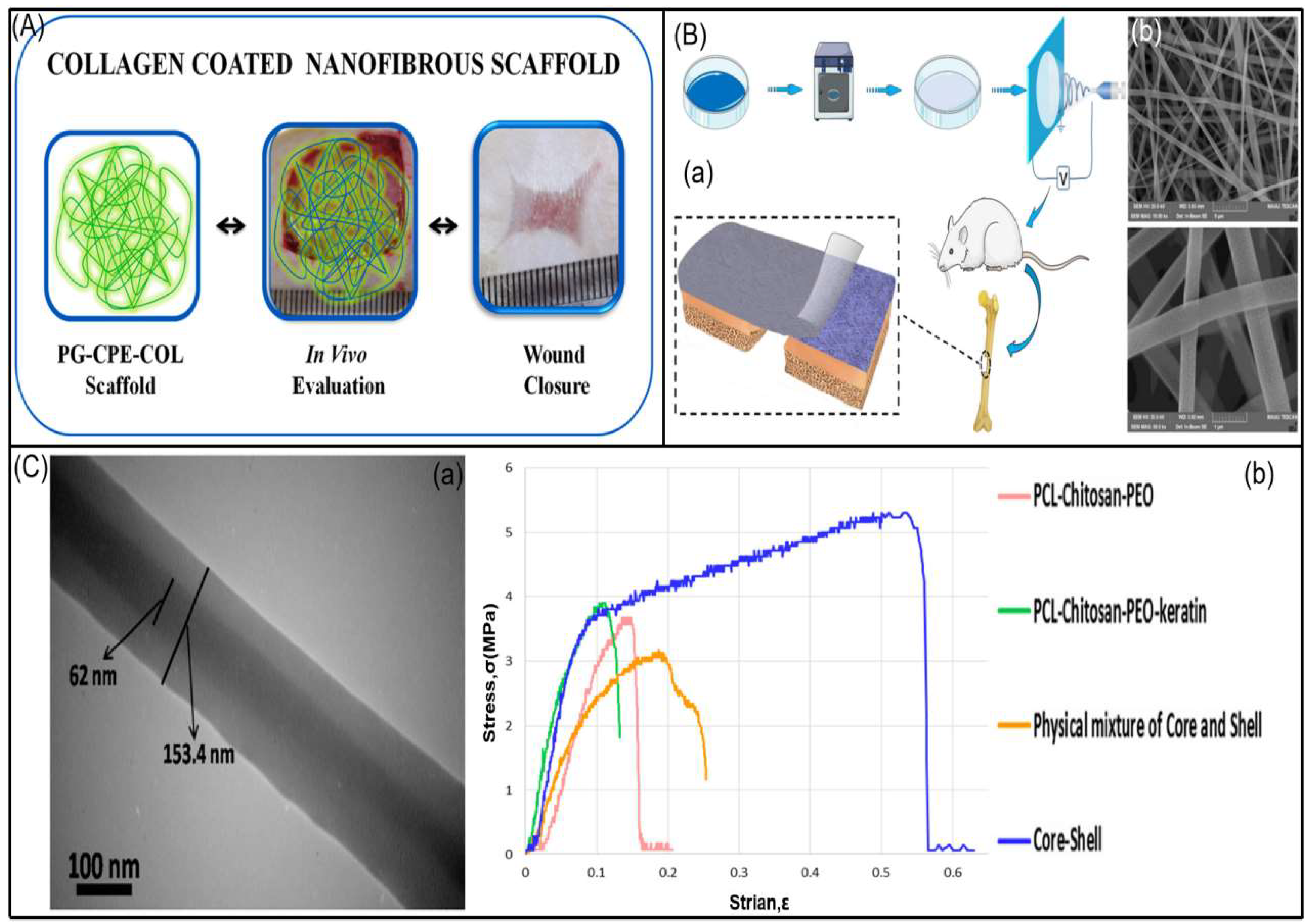 Biomolecules 13 00184 g009