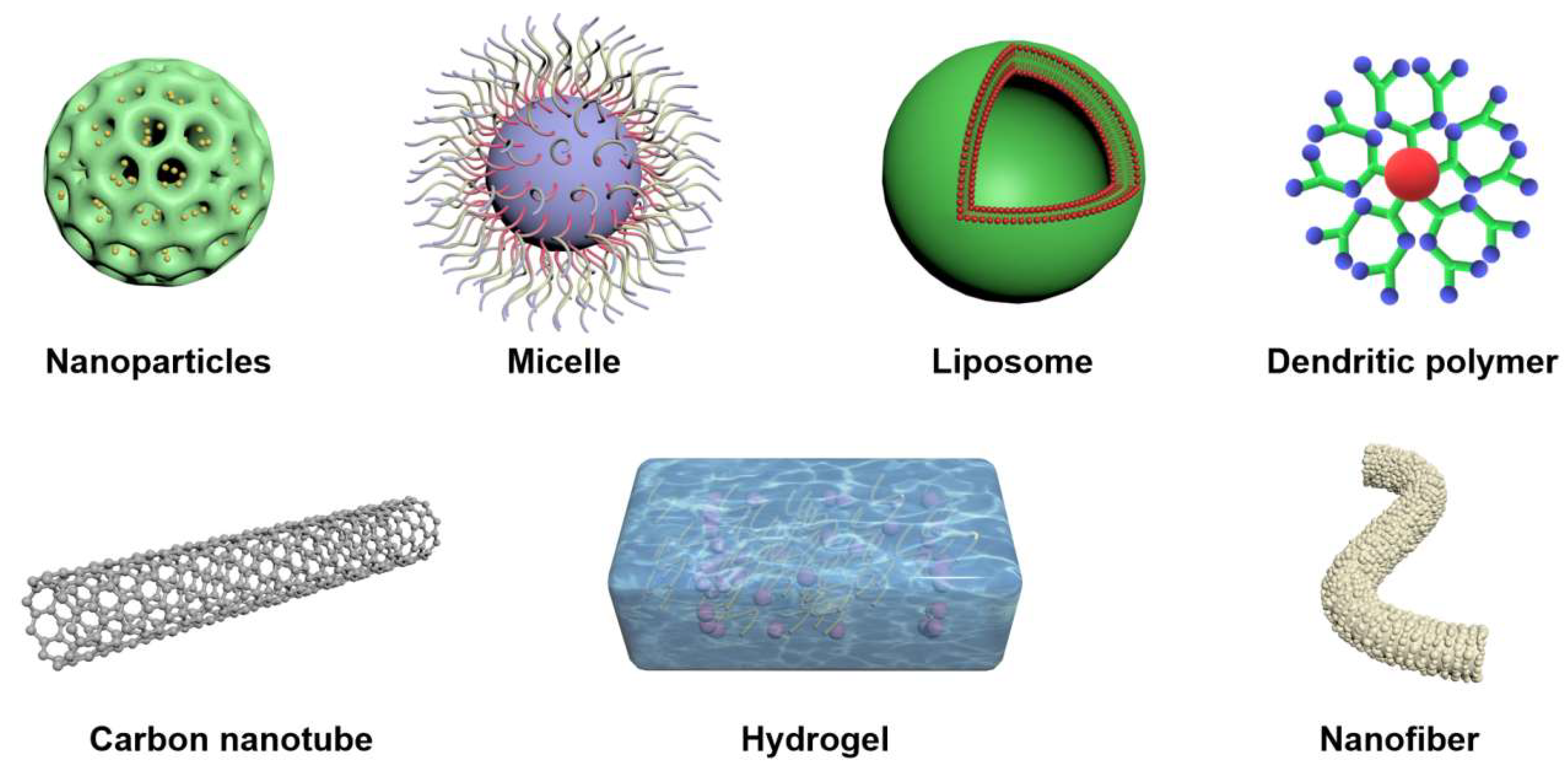 Biomolecules 13 00184 g010