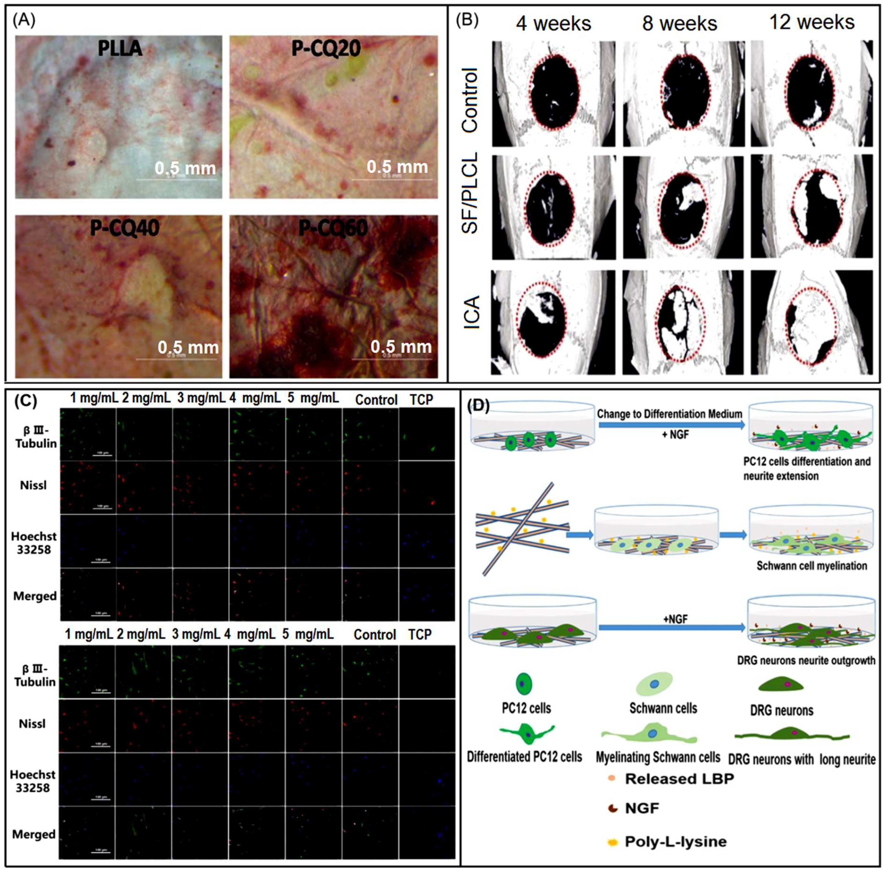 Biomolecules 13 00184 g013