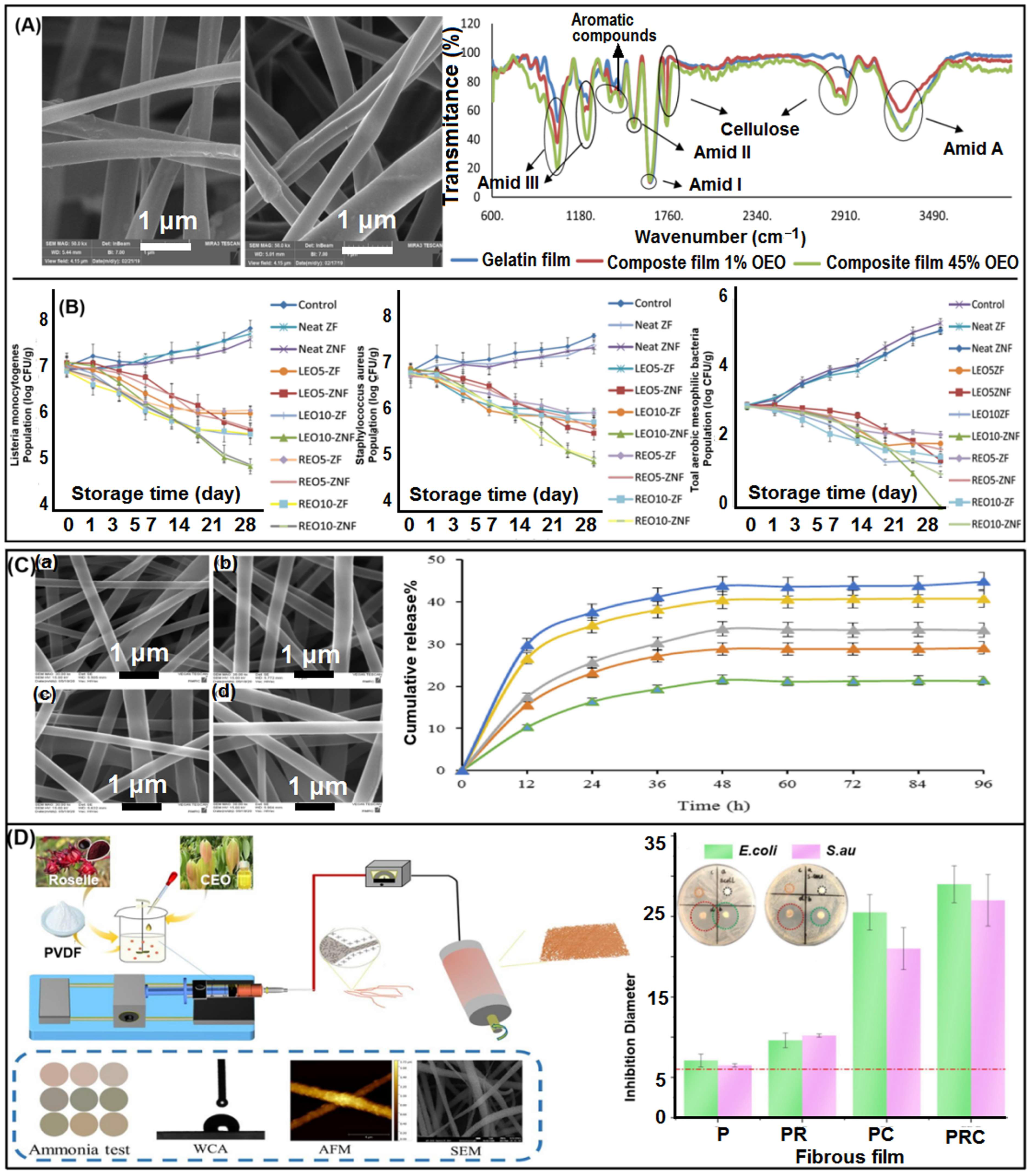 Biomolecules 13 00184 g014