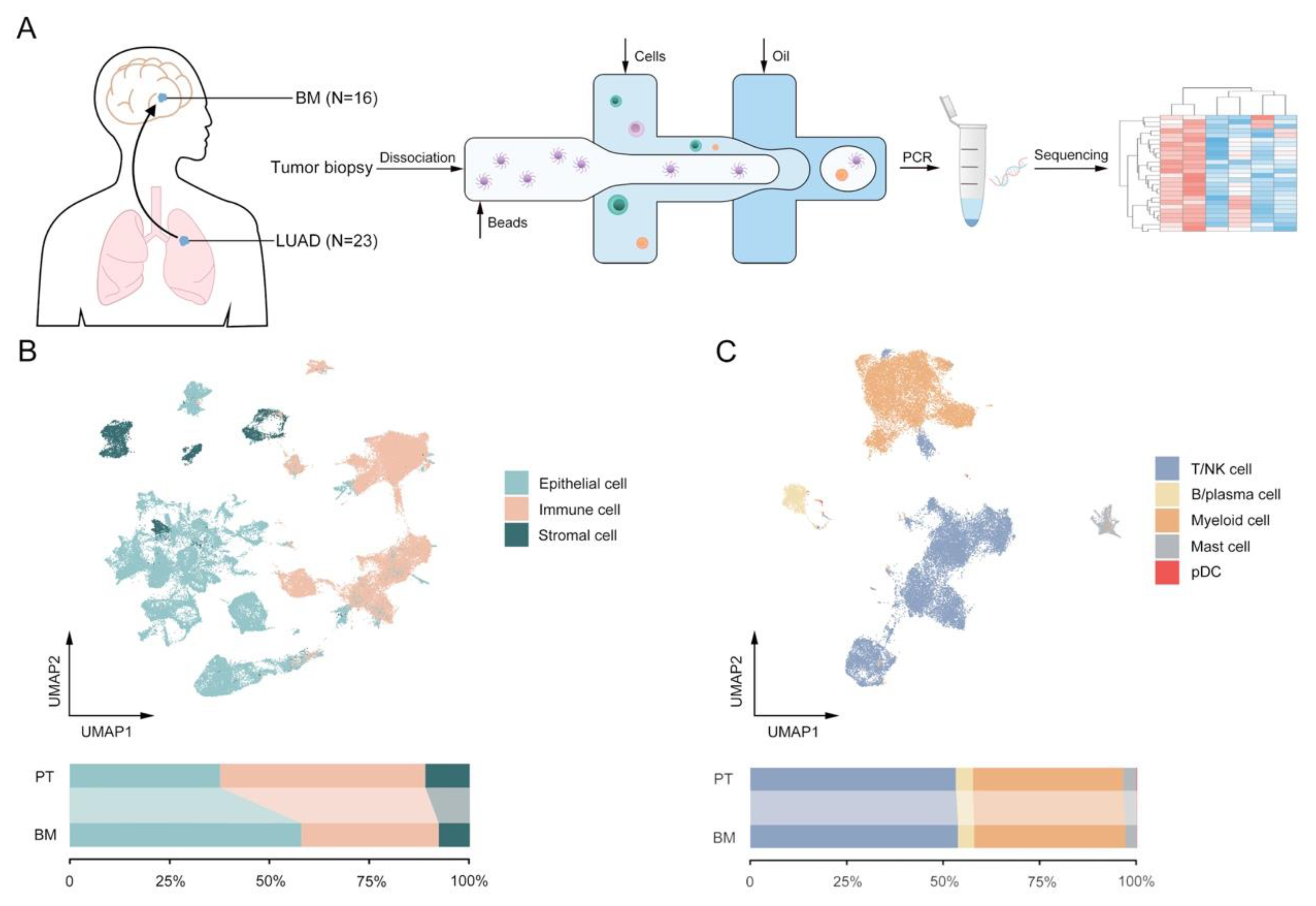 Biomolecules 13 00185 g001