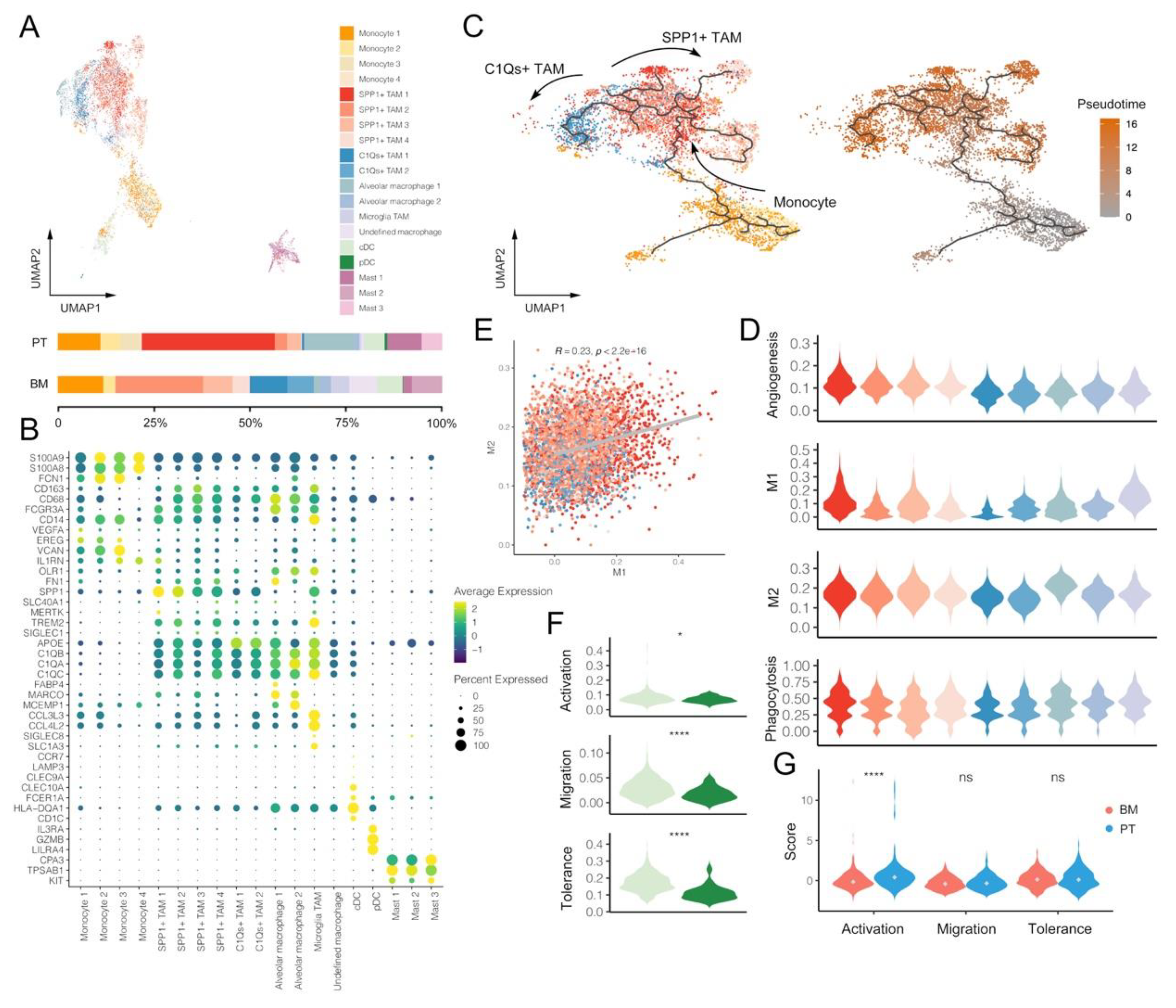 Biomolecules 13 00185 g003