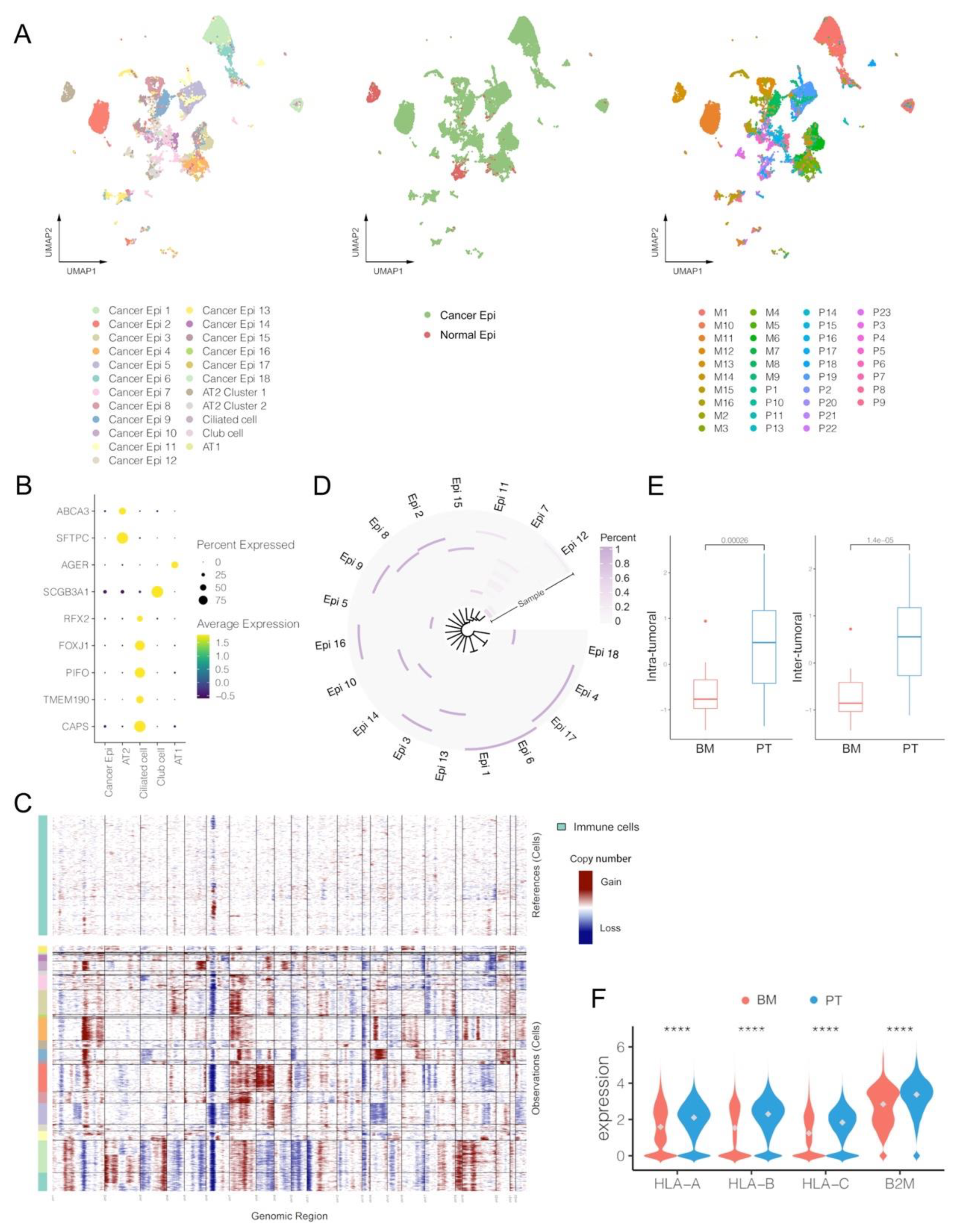 Biomolecules 13 00185 g004