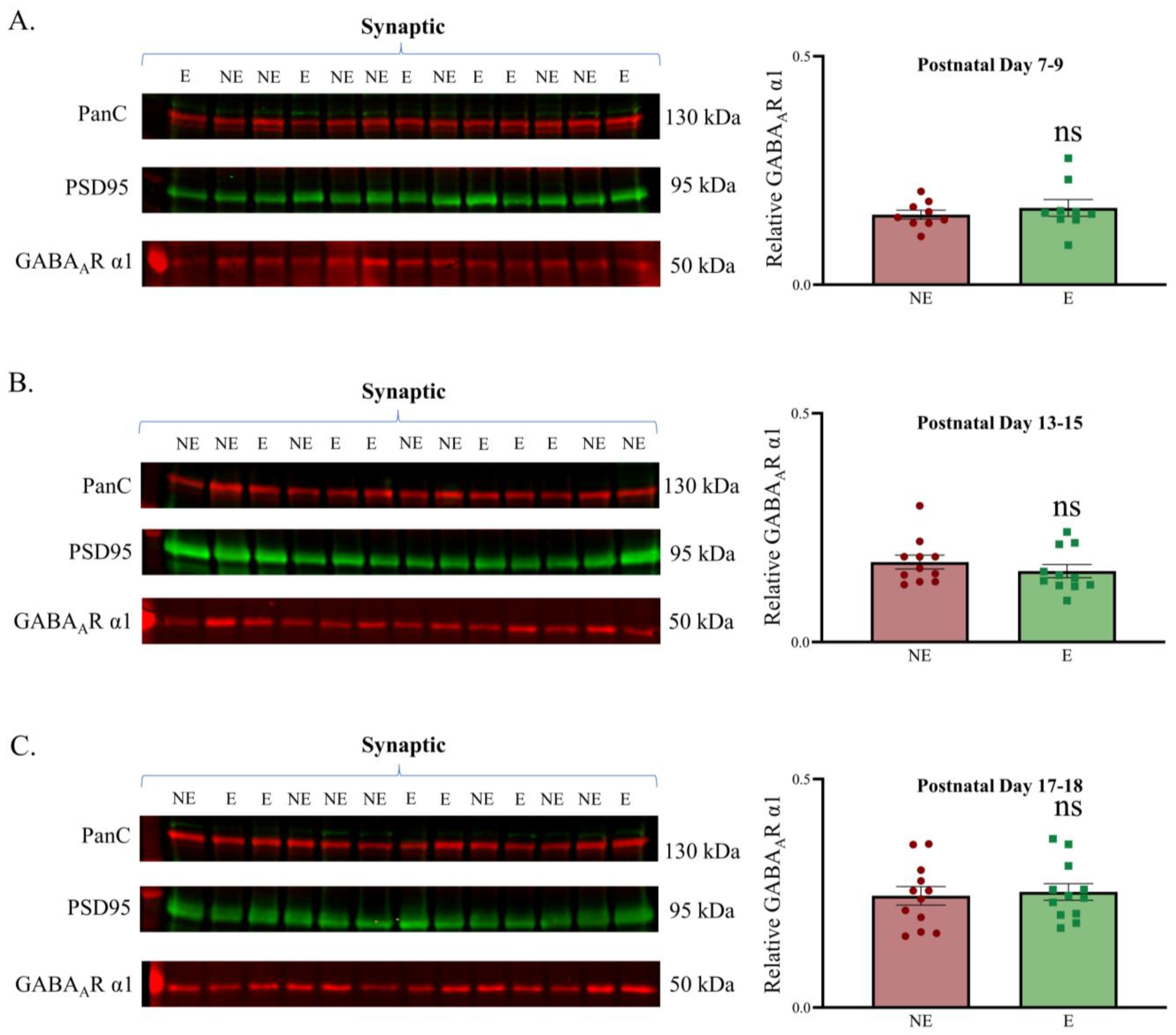 Biomolecules 13 00186 g003 Biomolecules 13 00186 g003