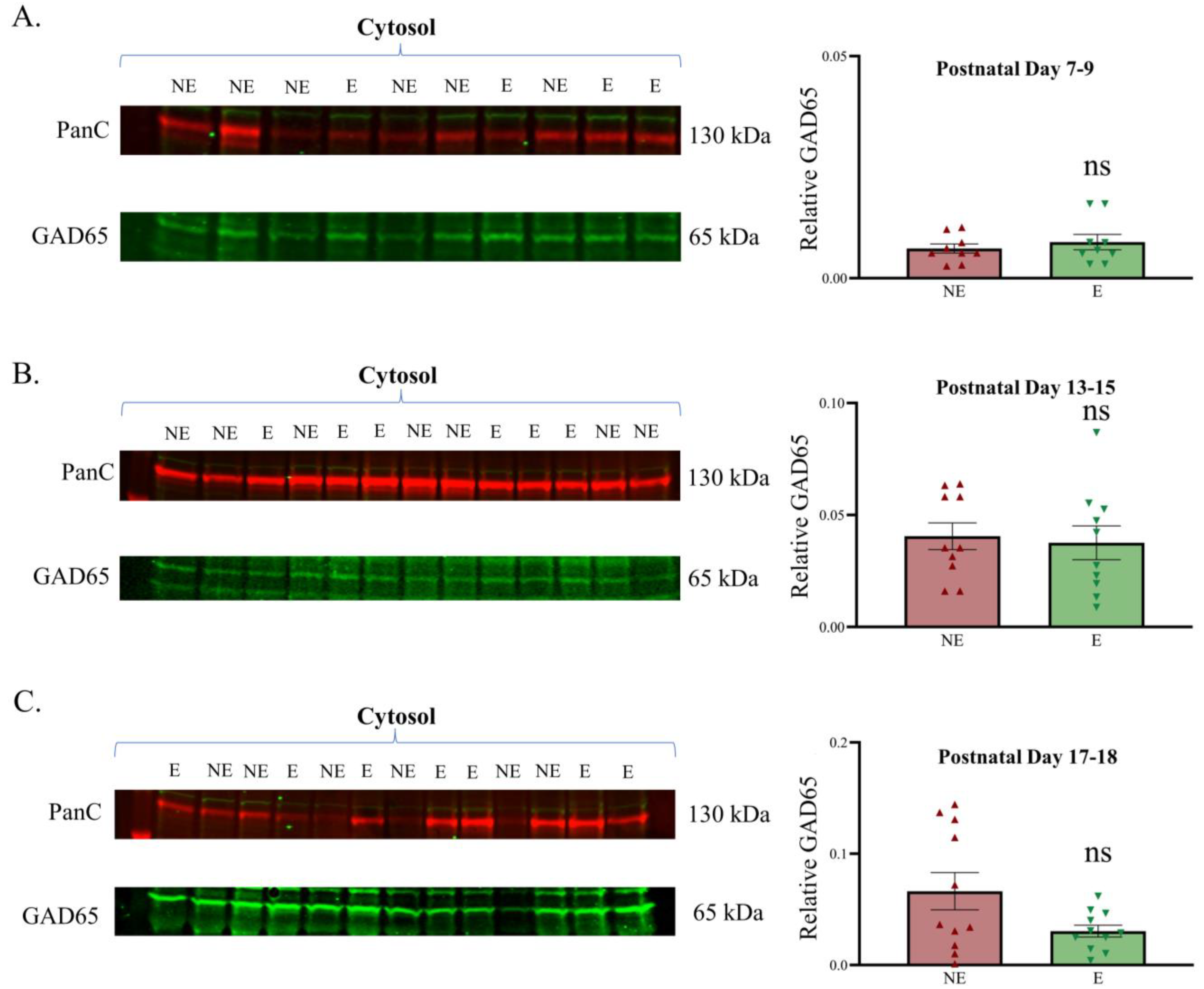 Biomolecules 13 00186 g005 Biomolecules 13 00186 g005