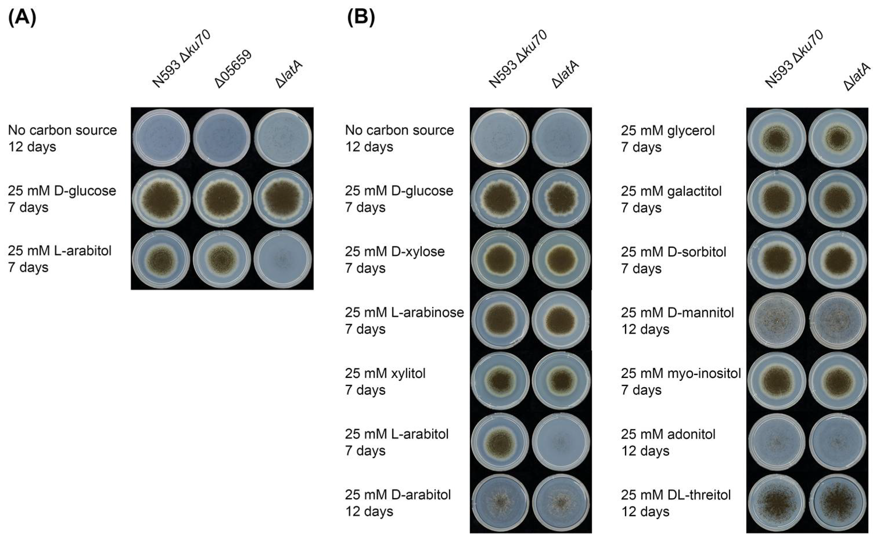 Biomolecules 13 00188 g002 Biomolecules 13 00188 g002