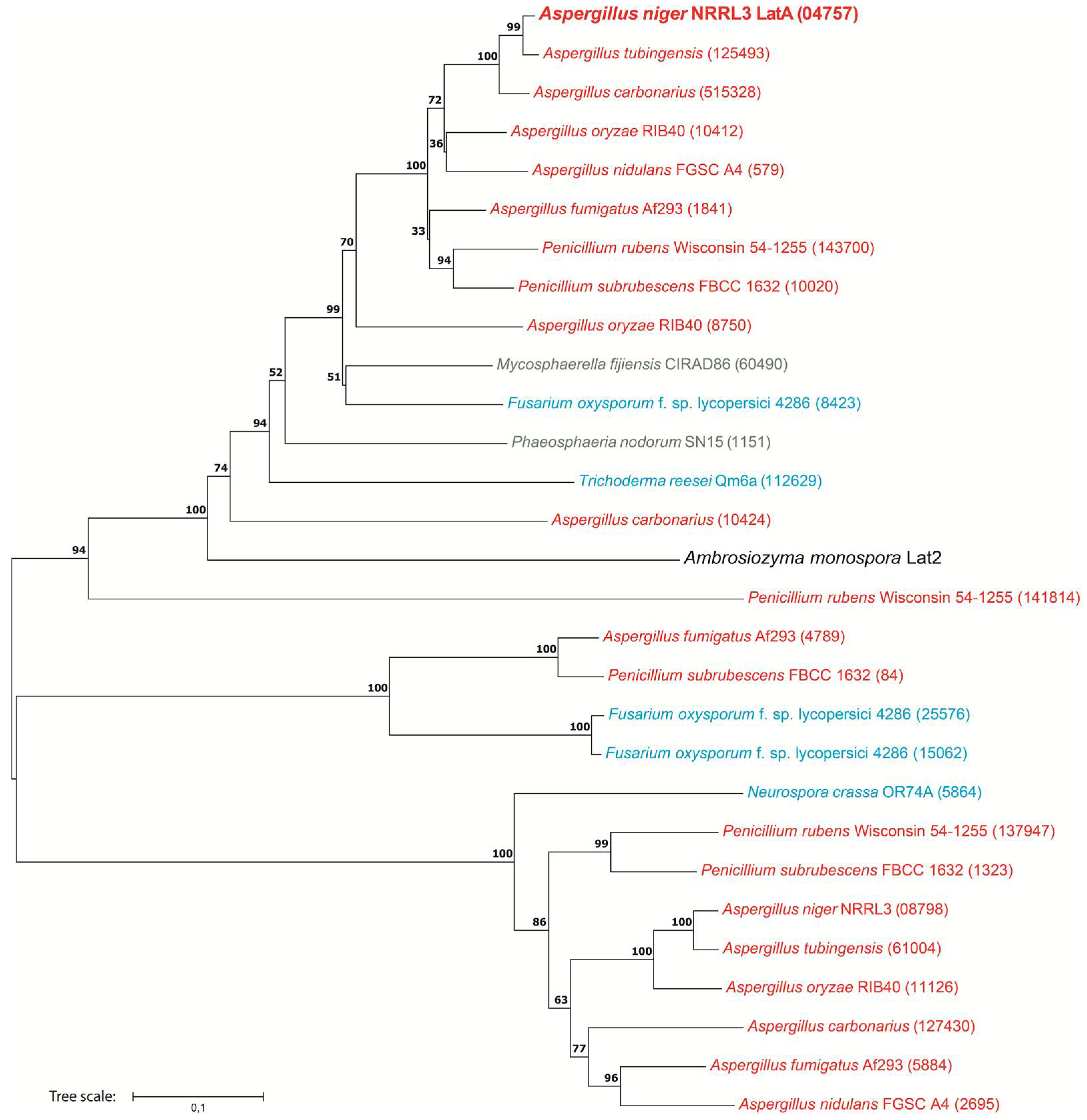 Biomolecules 13 00188 g005 Biomolecules 13 00188 g005