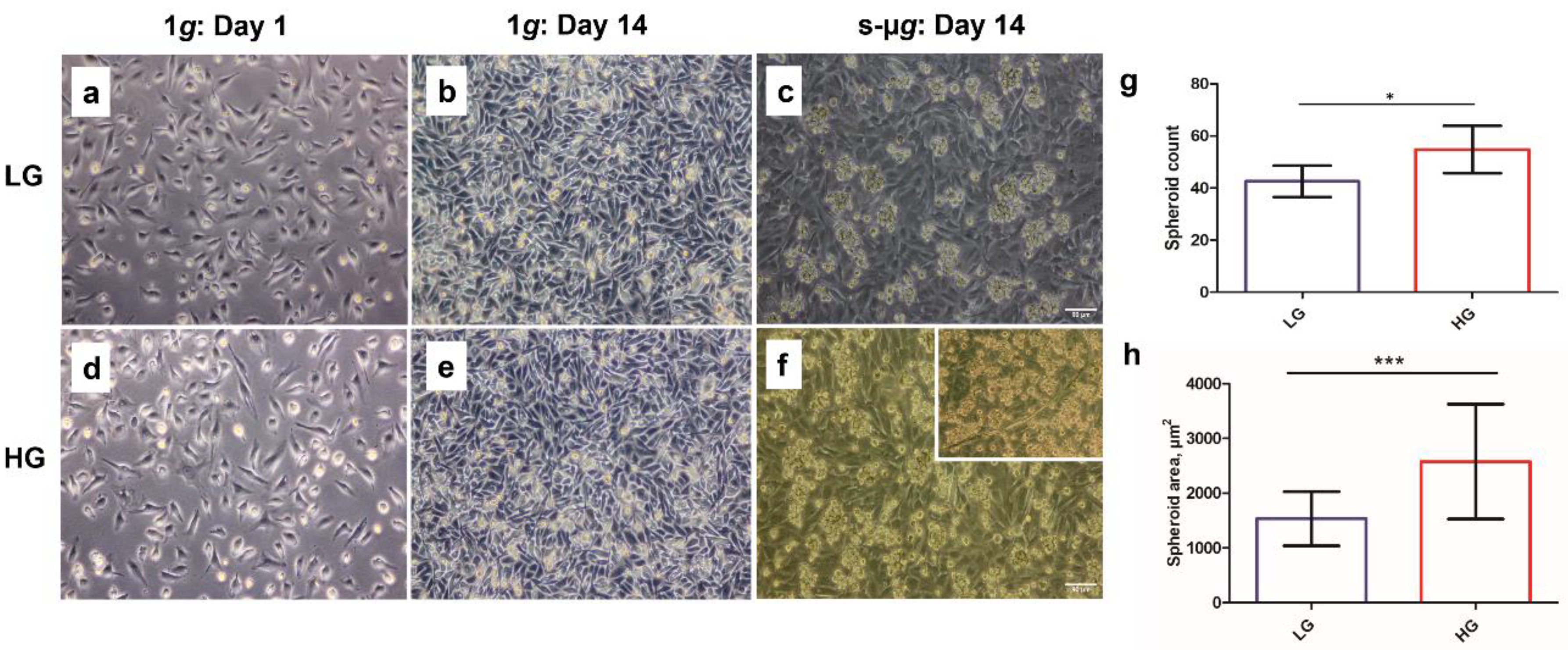 Biomolecules 13 00189 g001 Biomolecules 13 00189 g001
