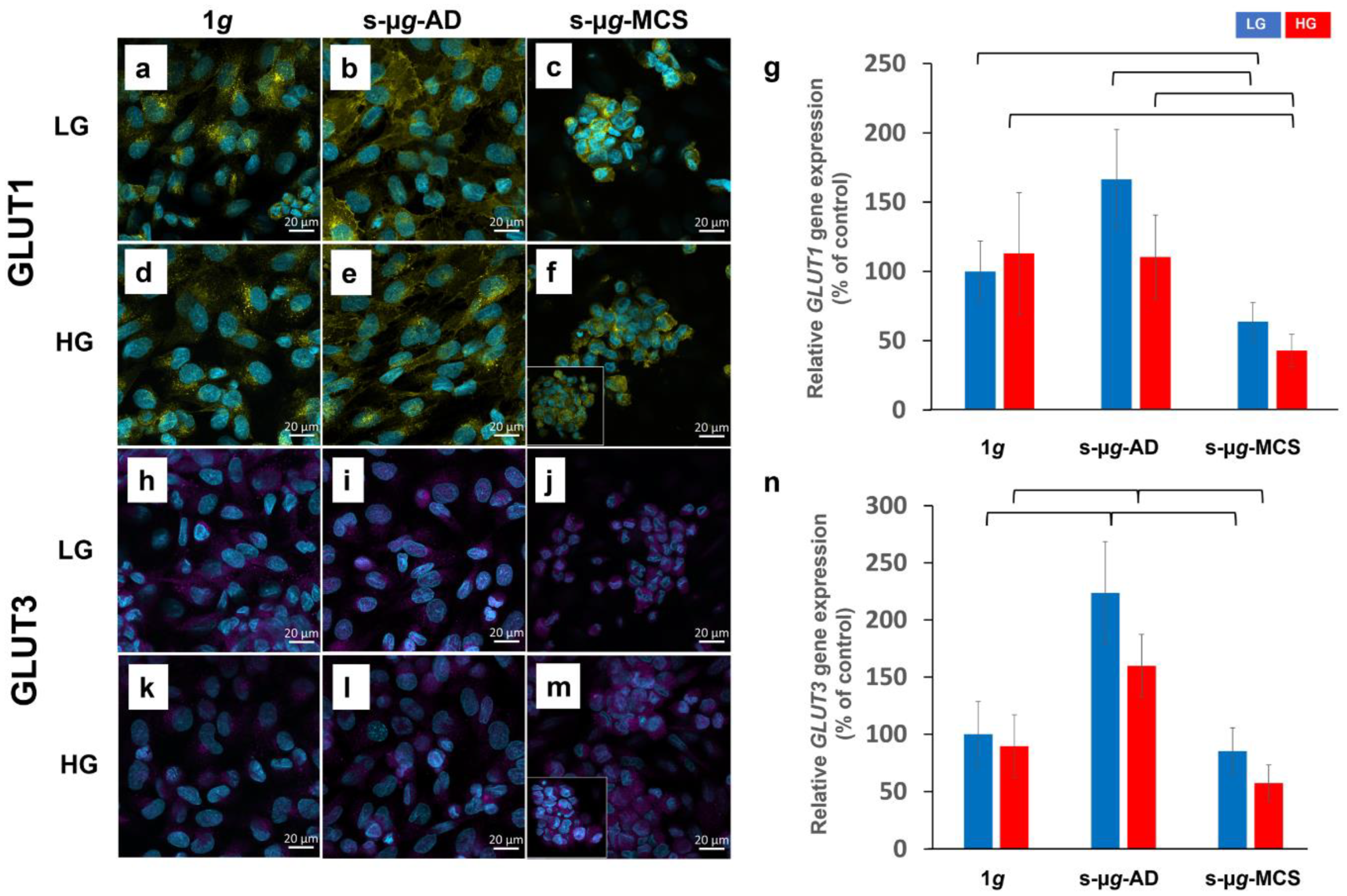 Biomolecules 13 00189 g003 Biomolecules 13 00189 g003