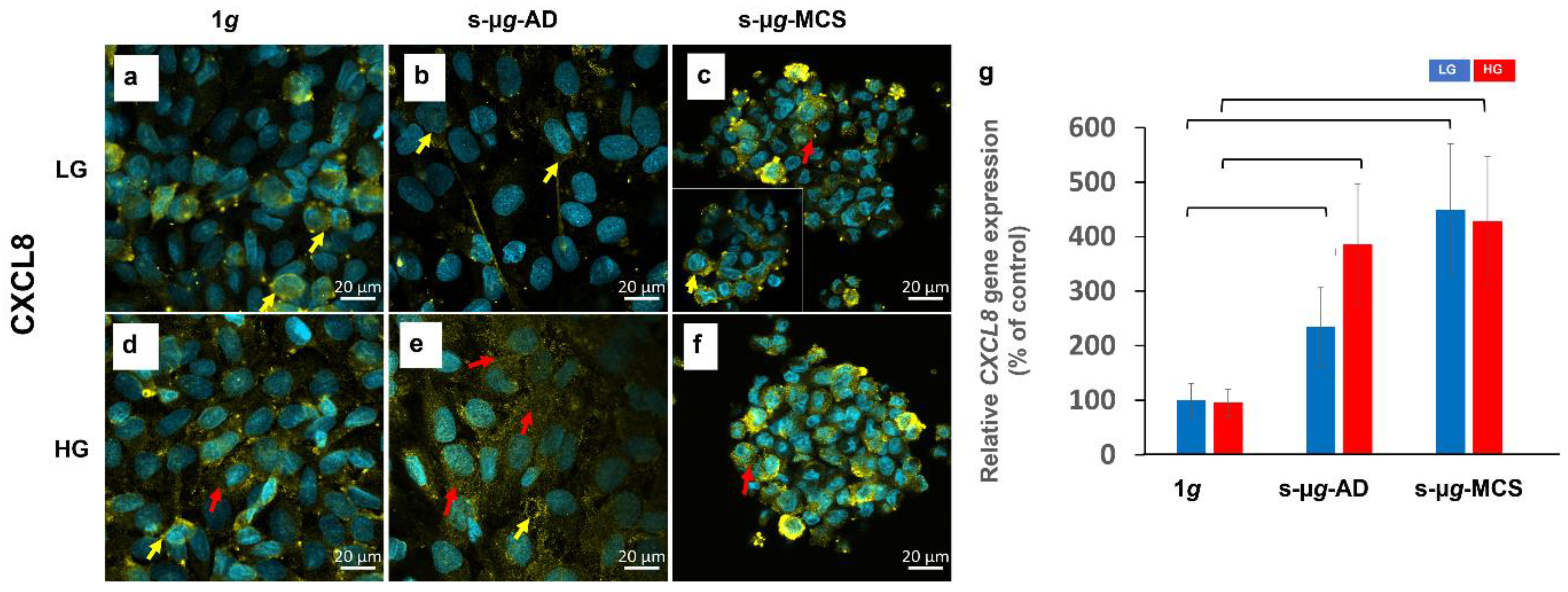 Biomolecules 13 00189 g007 Biomolecules 13 00189 g007