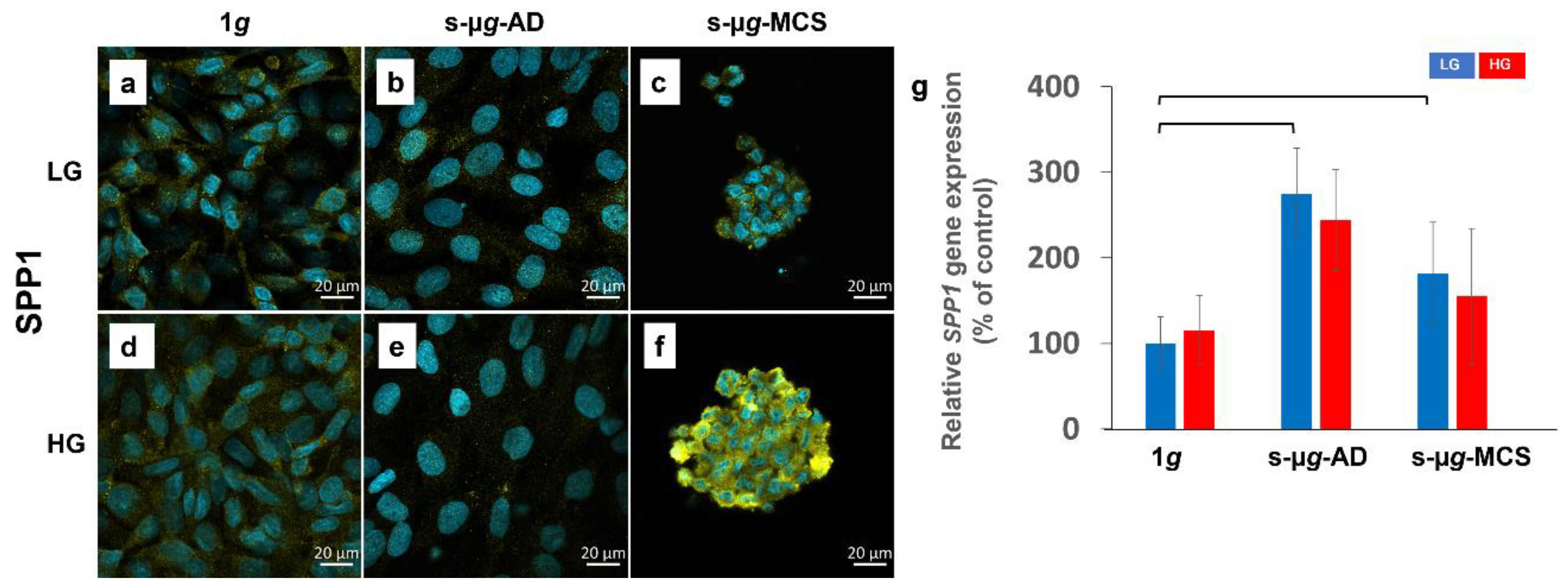 Biomolecules 13 00189 g008 Biomolecules 13 00189 g008