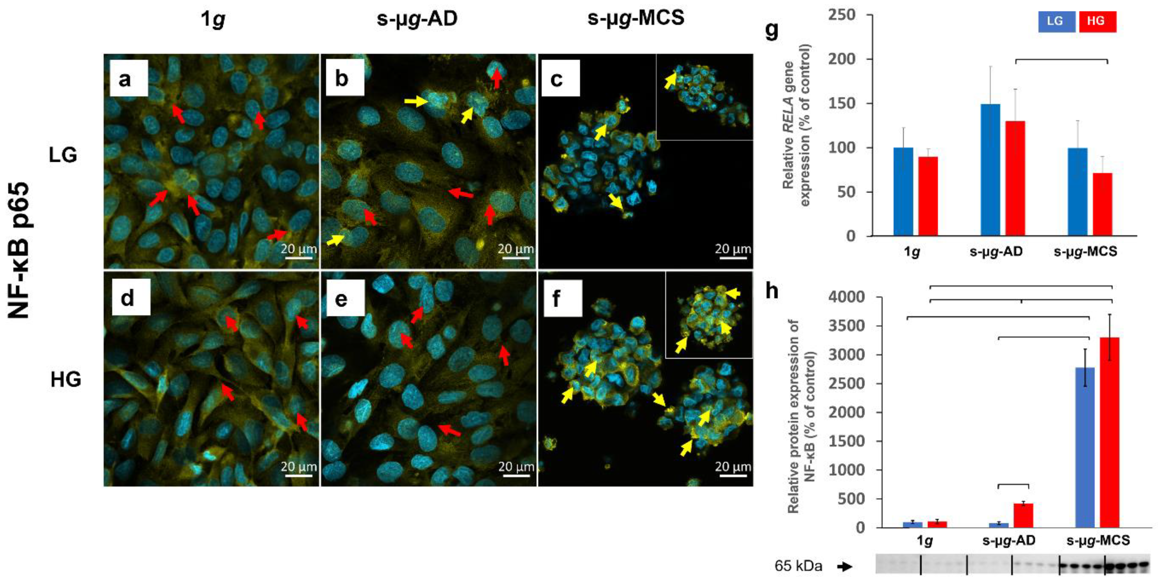 Biomolecules 13 00189 g009 Biomolecules 13 00189 g009