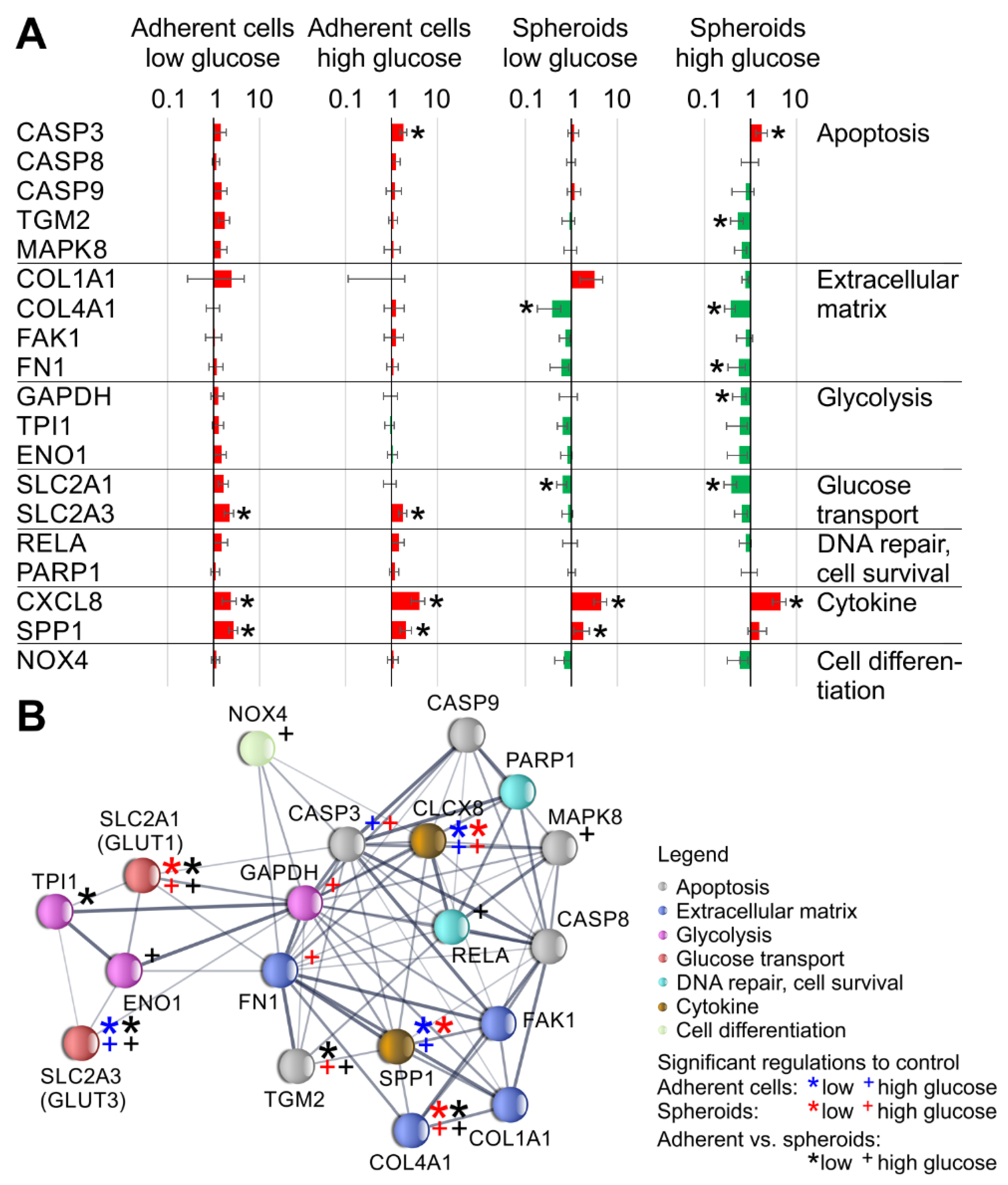Biomolecules 13 00189 g012 Biomolecules 13 00189 g012