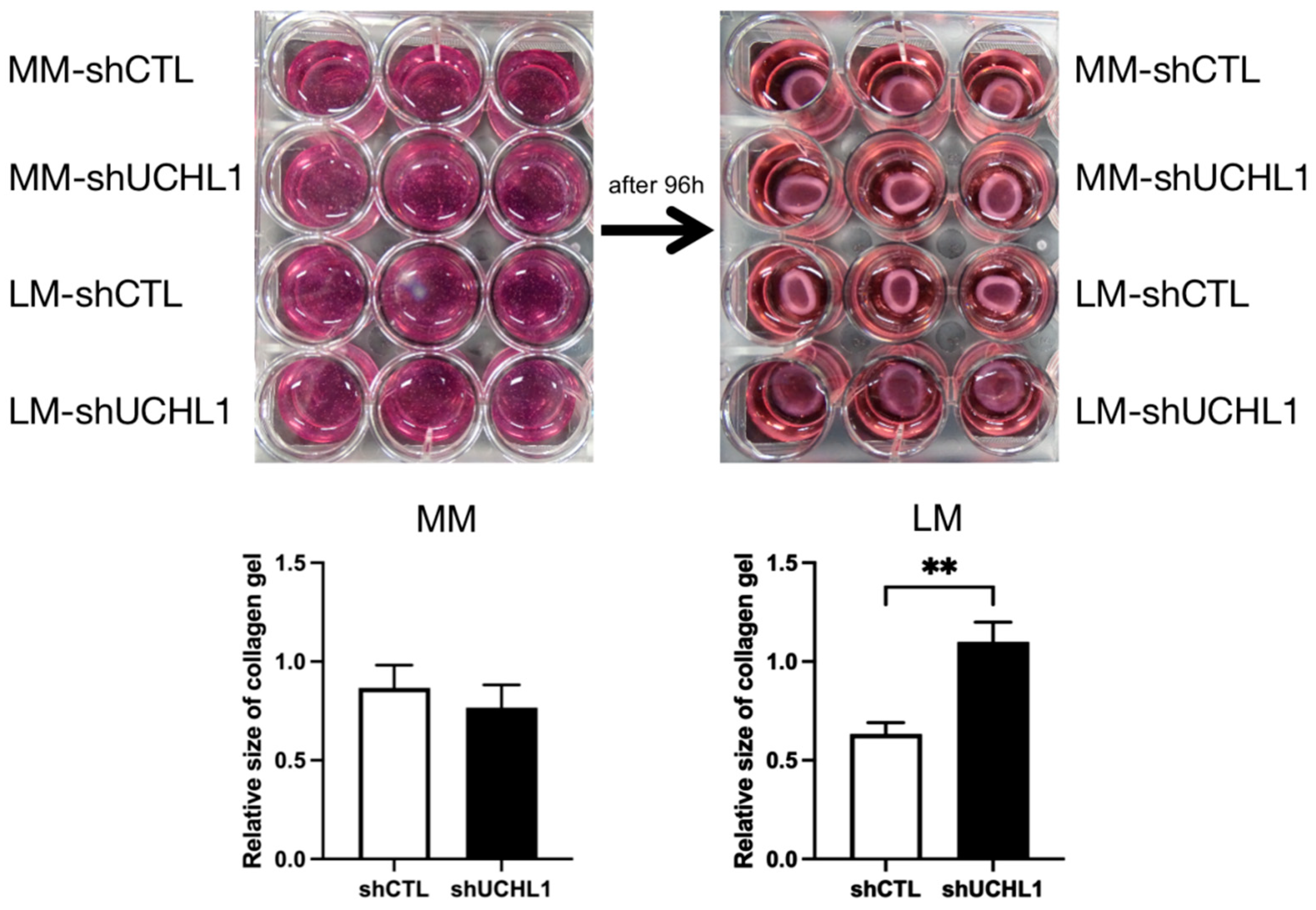 Biomolecules 13 00193 g003