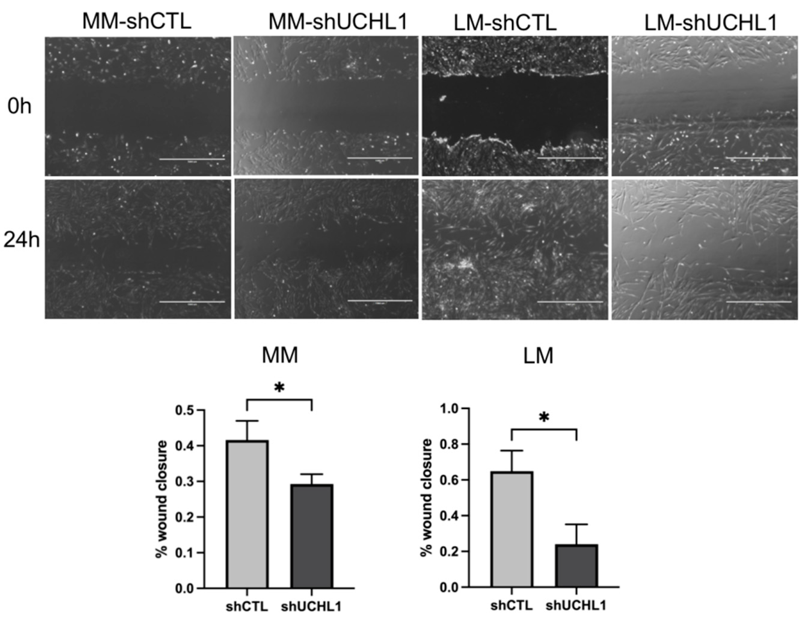 Biomolecules 13 00193 g004