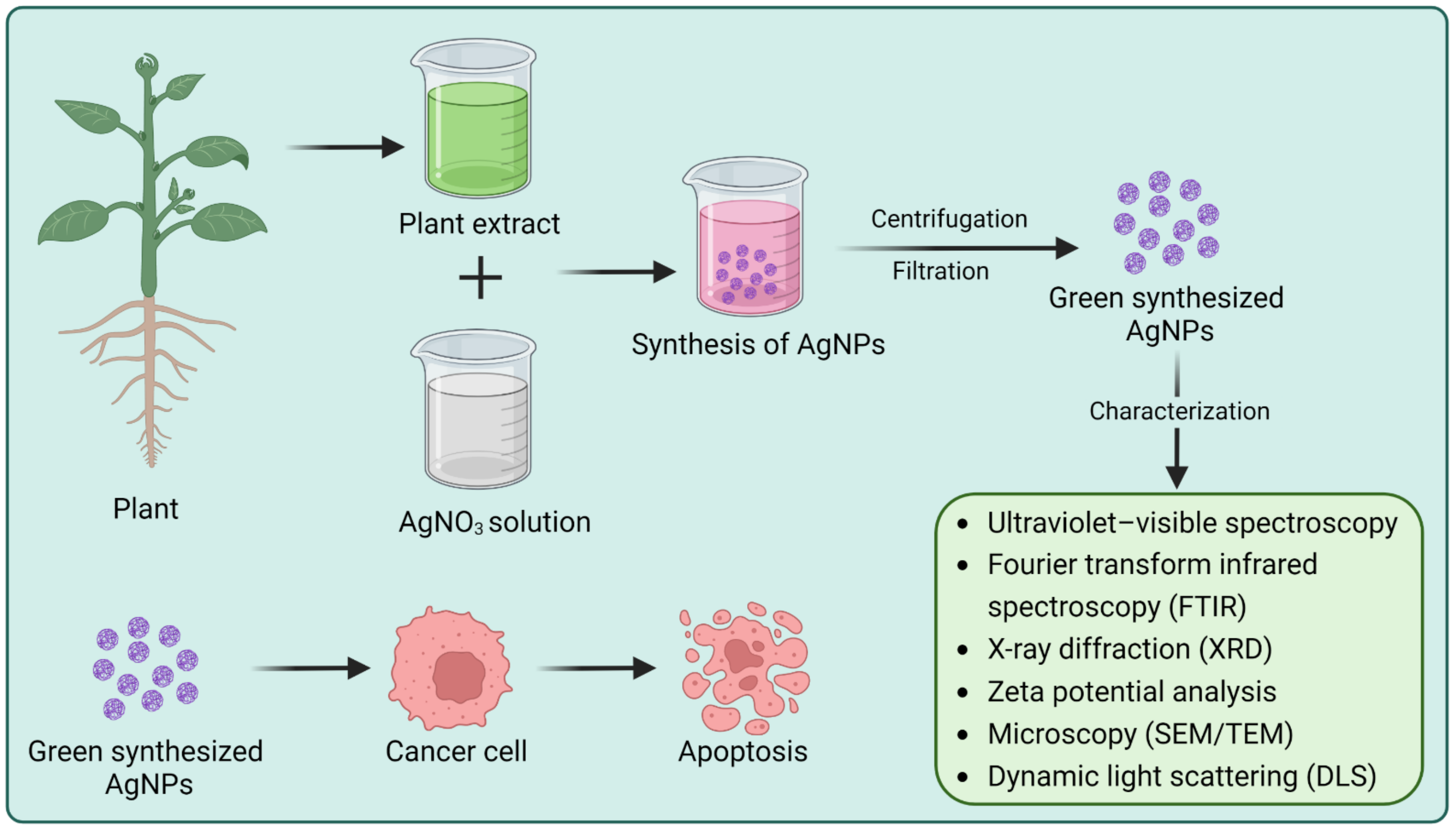 Biomolecules 13 00194 g003 Biomolecules 13 00194 g003