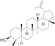 Biomolecules 13 00194 i005 Biomolecules 13 00194 i005