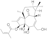 Biomolecules 13 00194 i022 Biomolecules 13 00194 i022