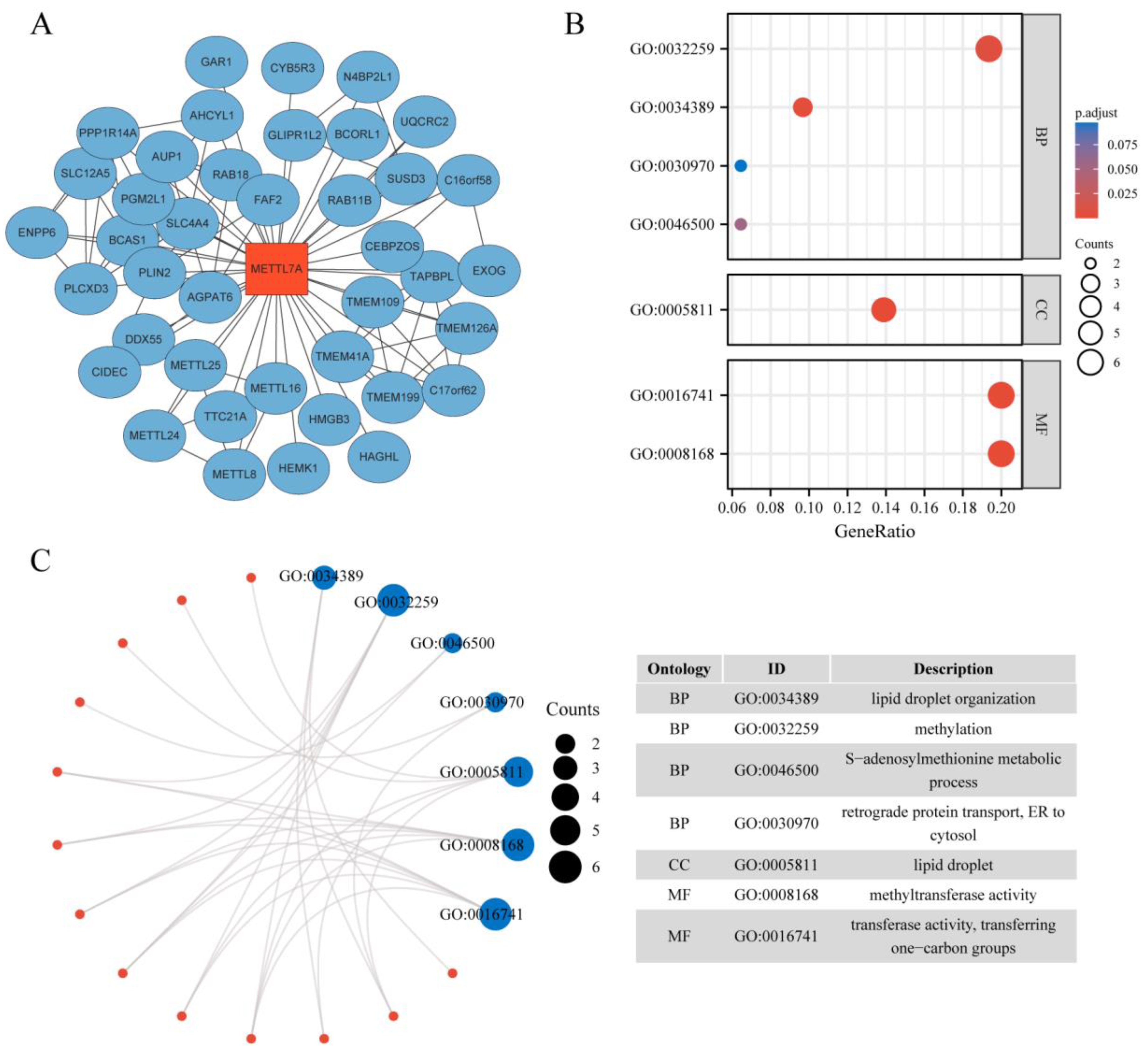 Biomolecules 13 00195 g001 Biomolecules 13 00195 g001