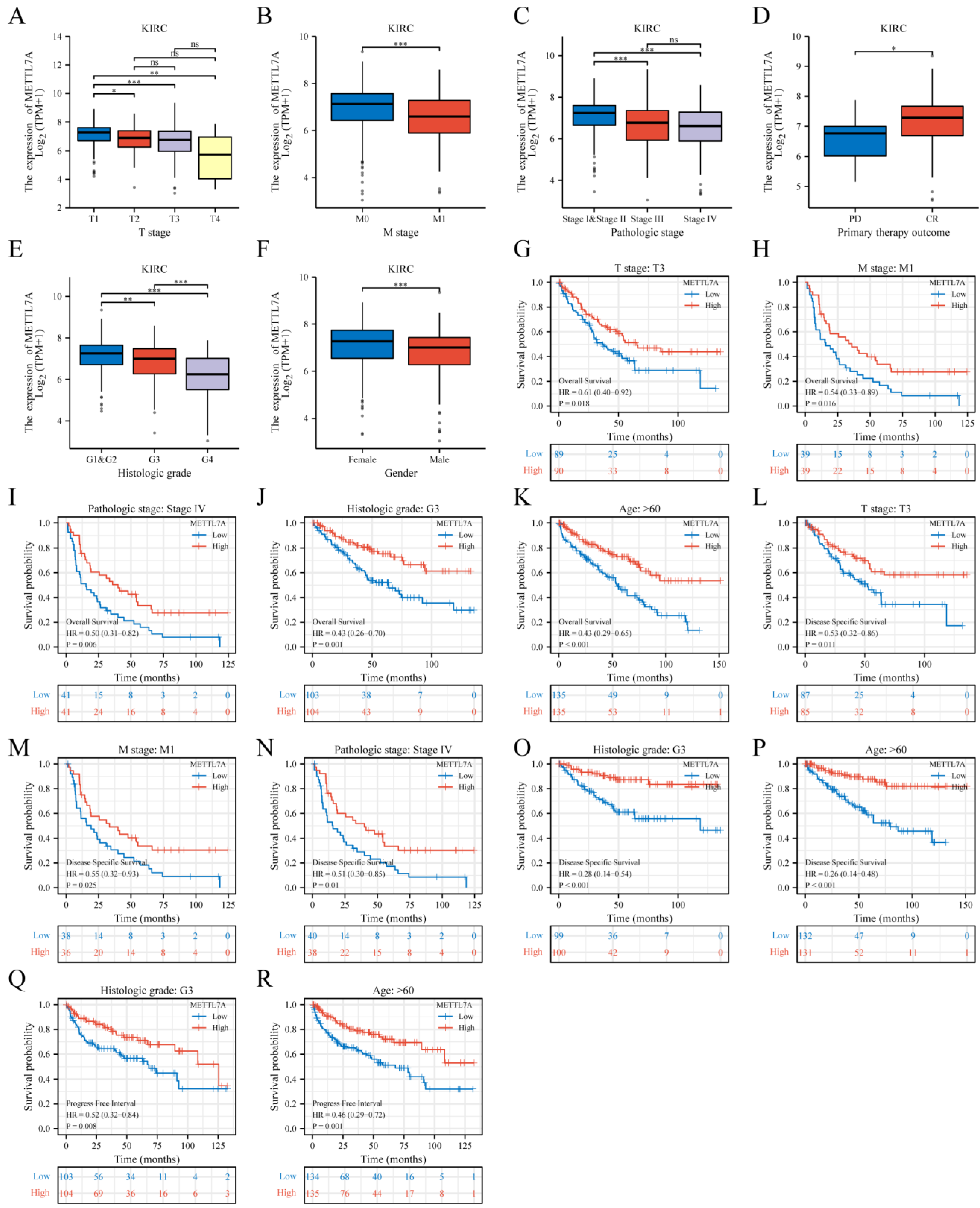 Biomolecules 13 00195 g006 Biomolecules 13 00195 g006