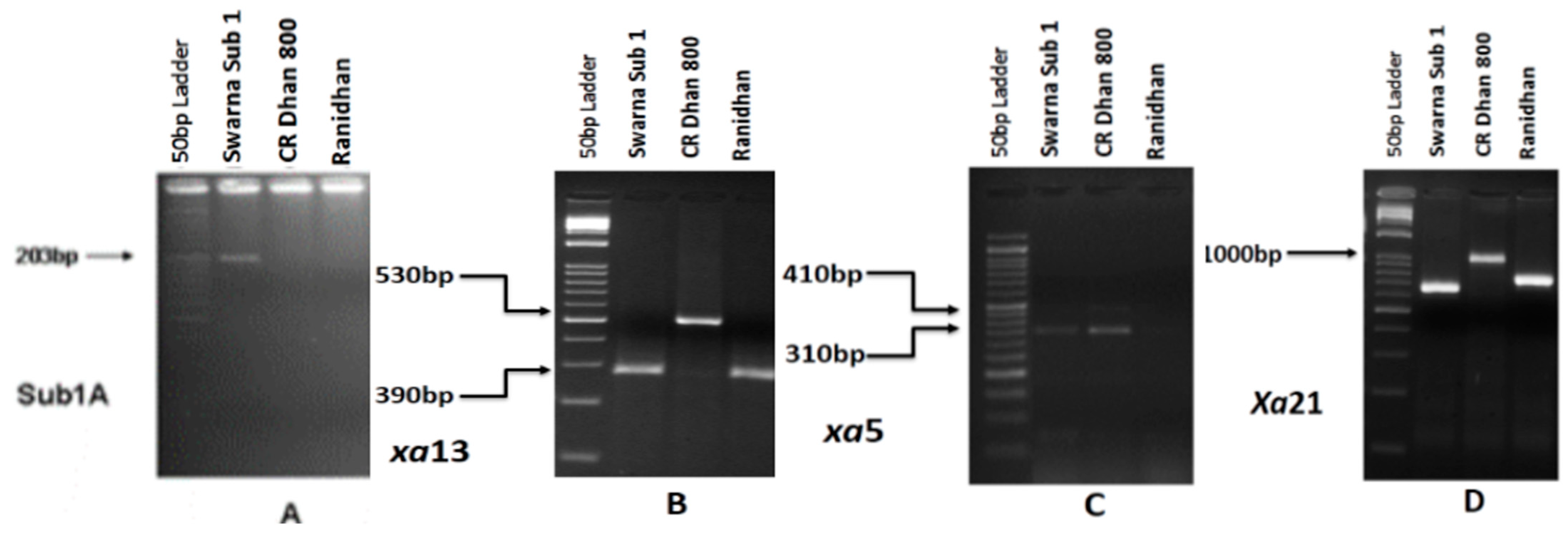 Biomolecules 13 00198 g002