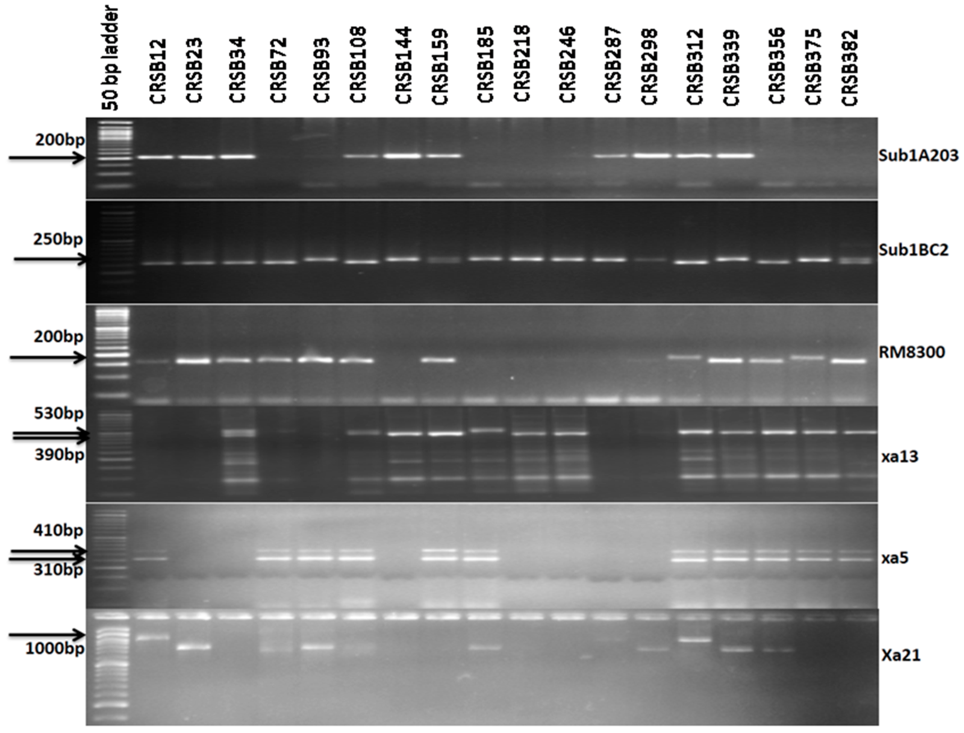 Biomolecules 13 00198 g003
