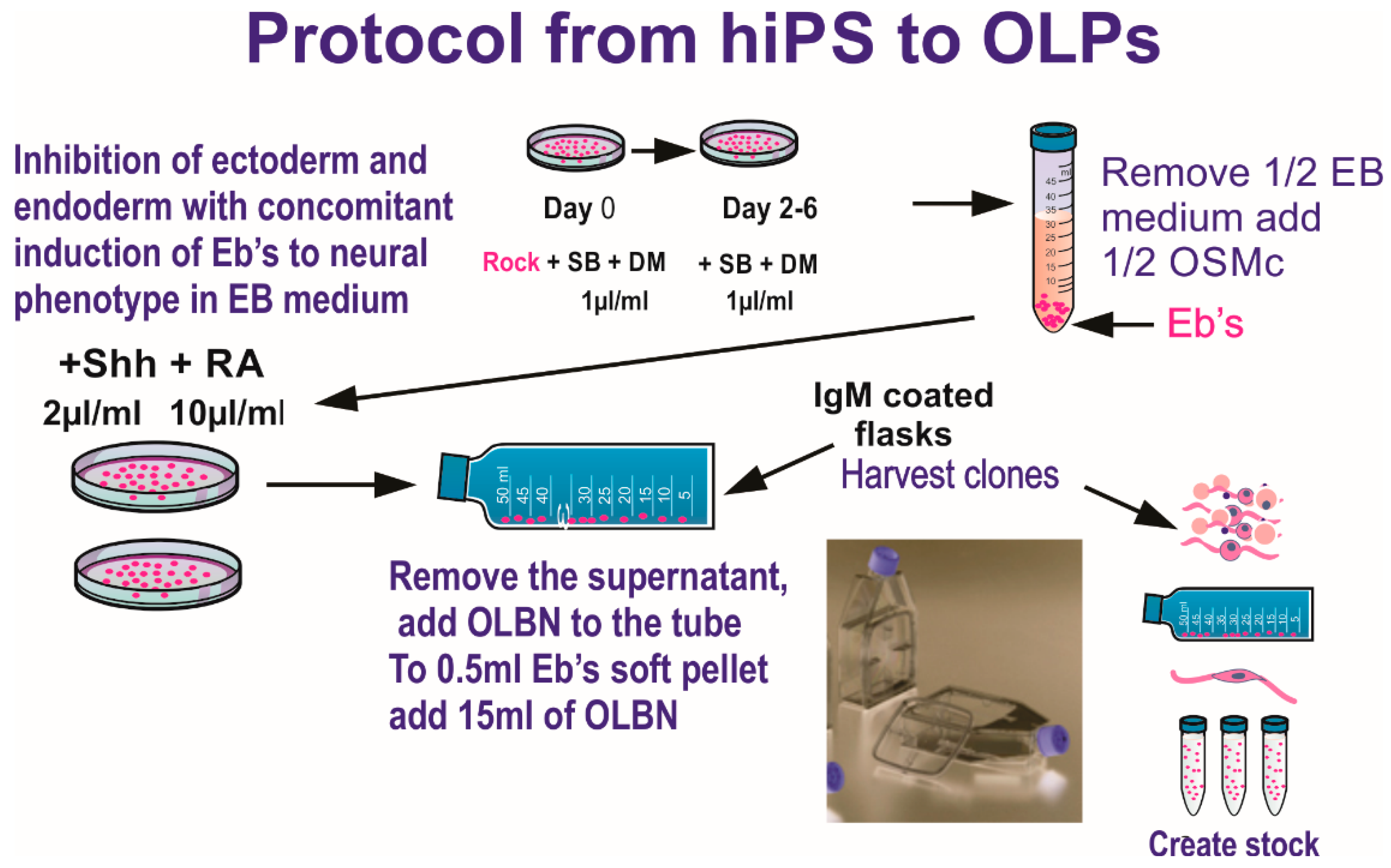Biomolecules 13 00201 g001 Biomolecules 13 00201 g001