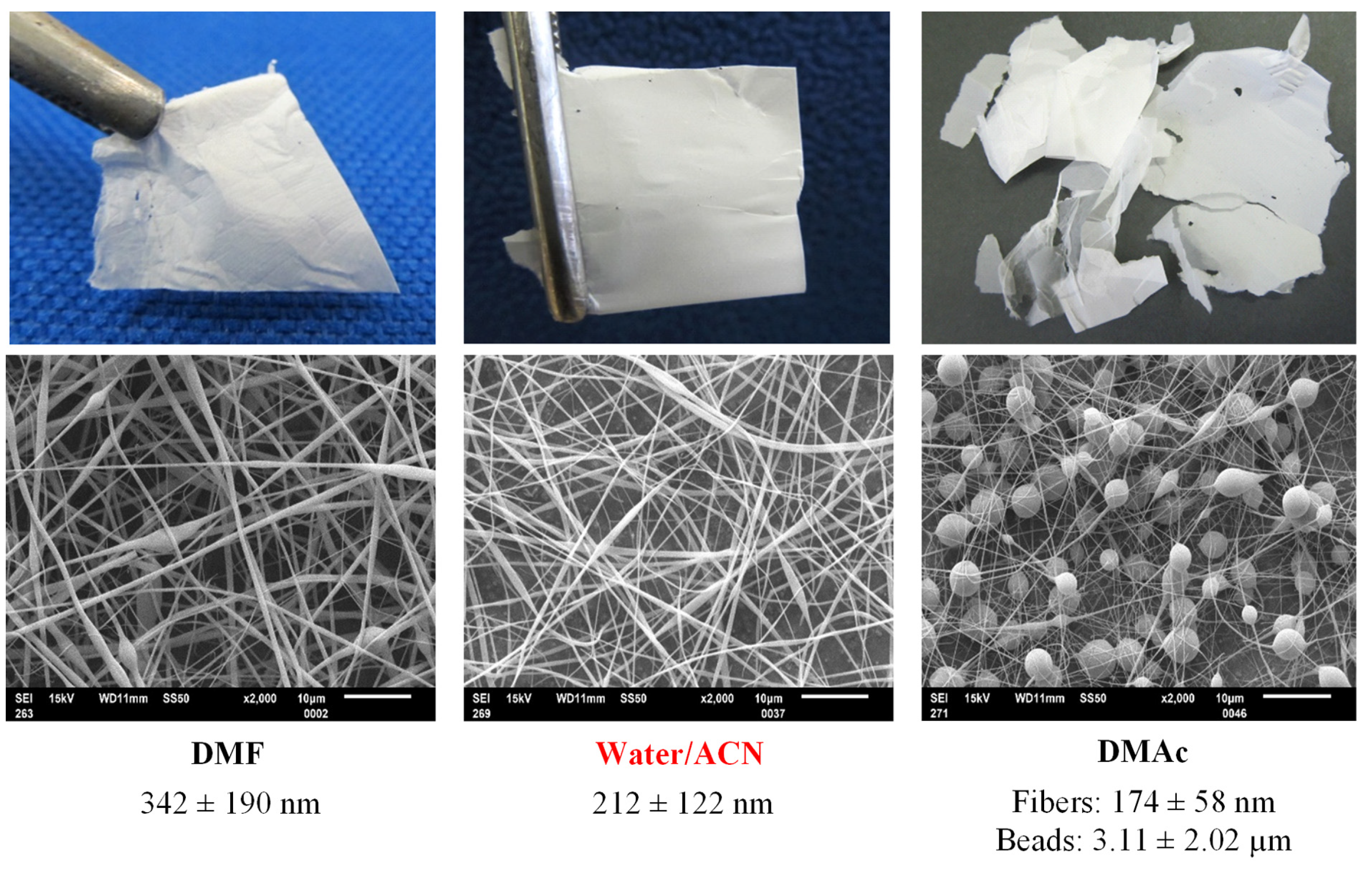 Biomolecules 13 00203 g004 Biomolecules 13 00203 g004
