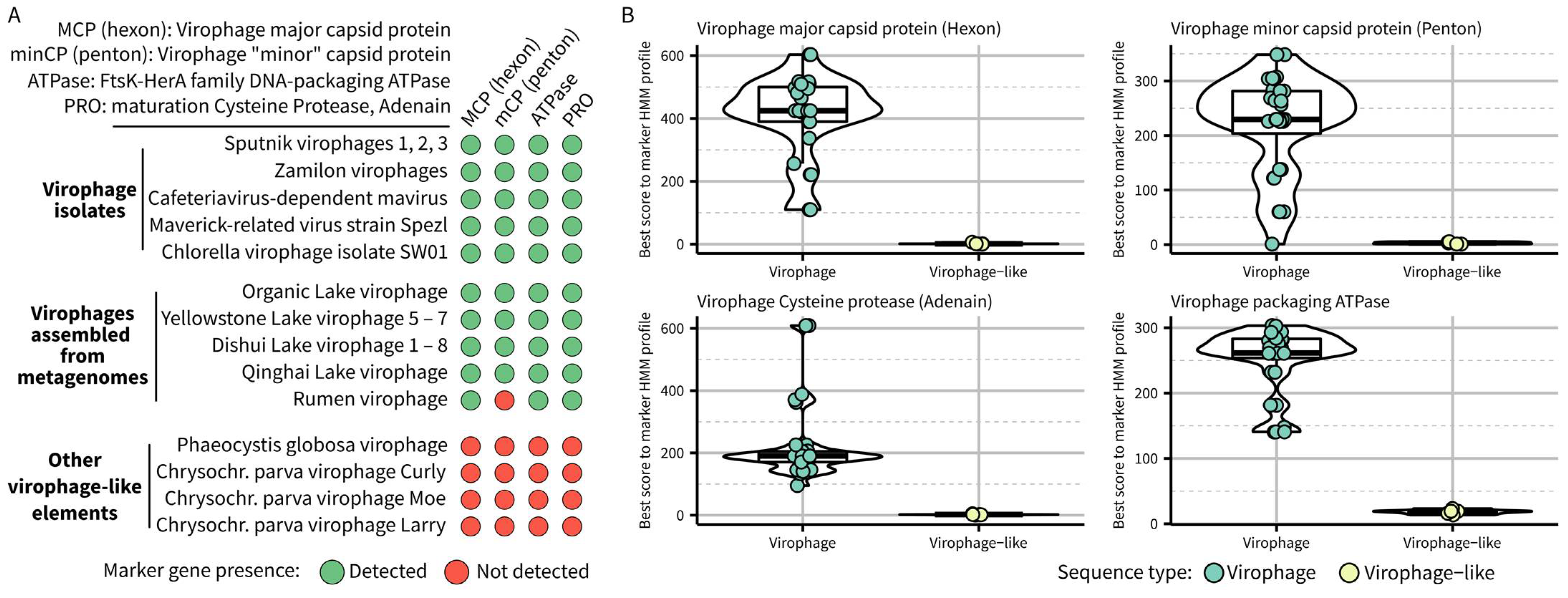 Biomolecules 13 00204 g001 Biomolecules 13 00204 g001