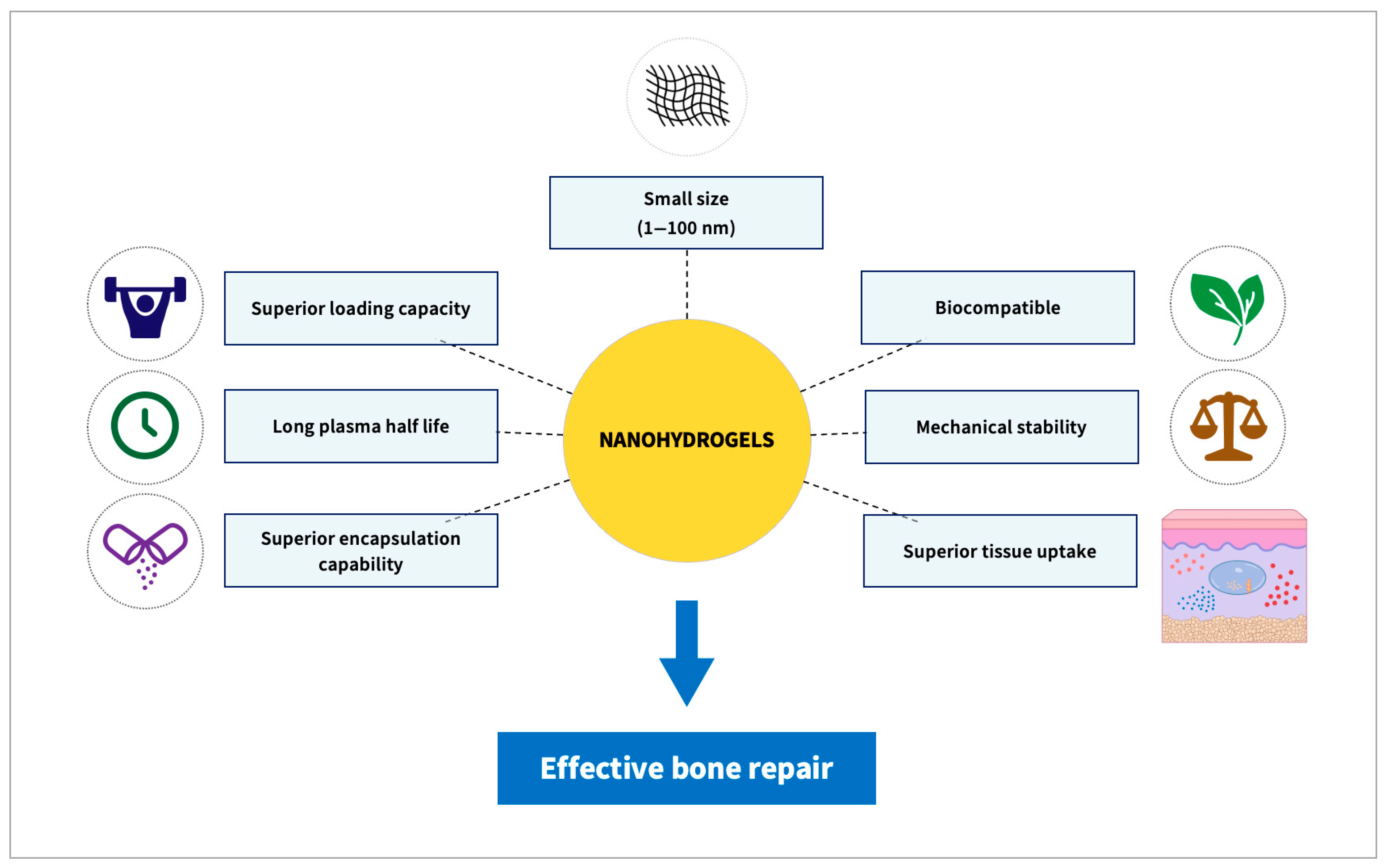 Biomolecules 13 00205 g002
