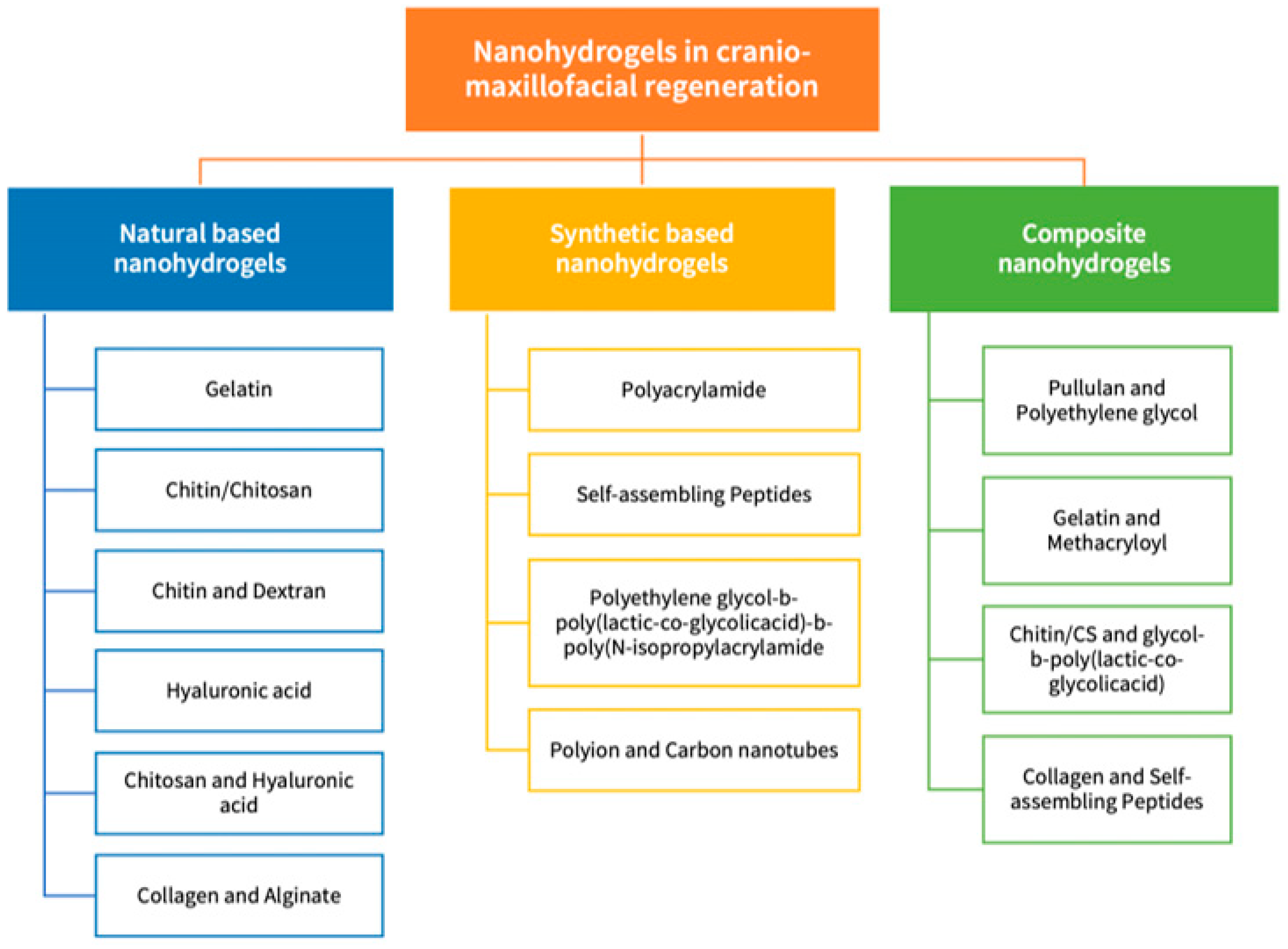 Biomolecules 13 00205 g003