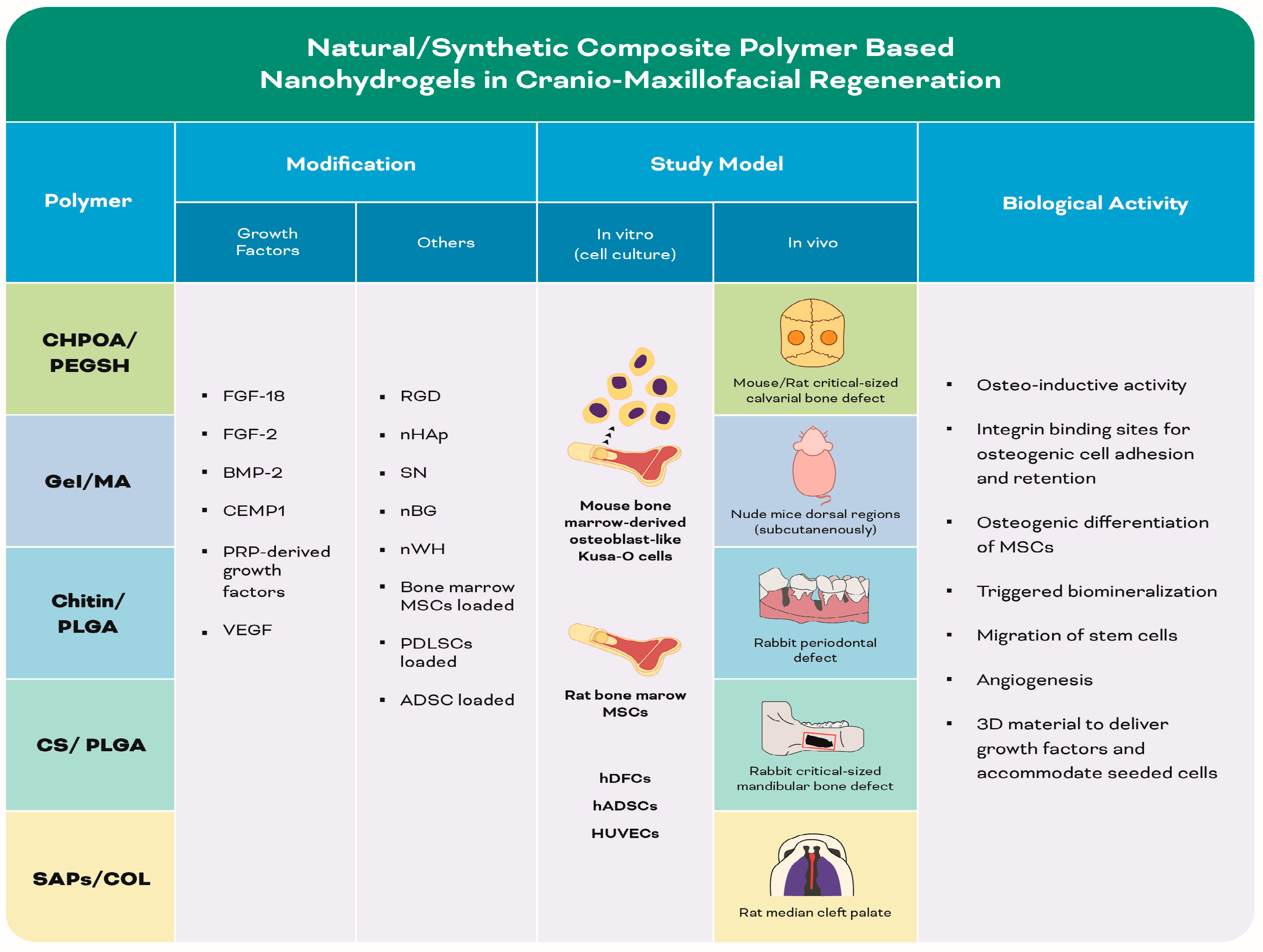 Biomolecules 13 00205 g006