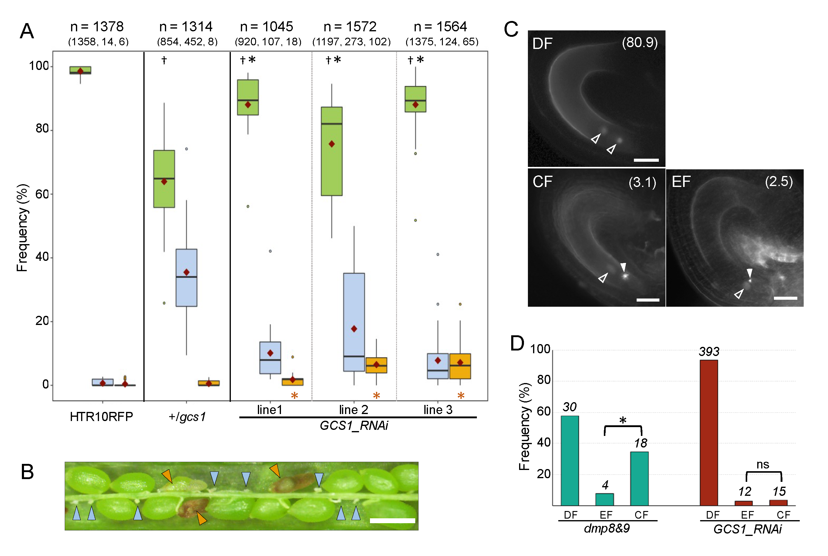 Biomolecules 13 00208 g001 Biomolecules 13 00208 g001