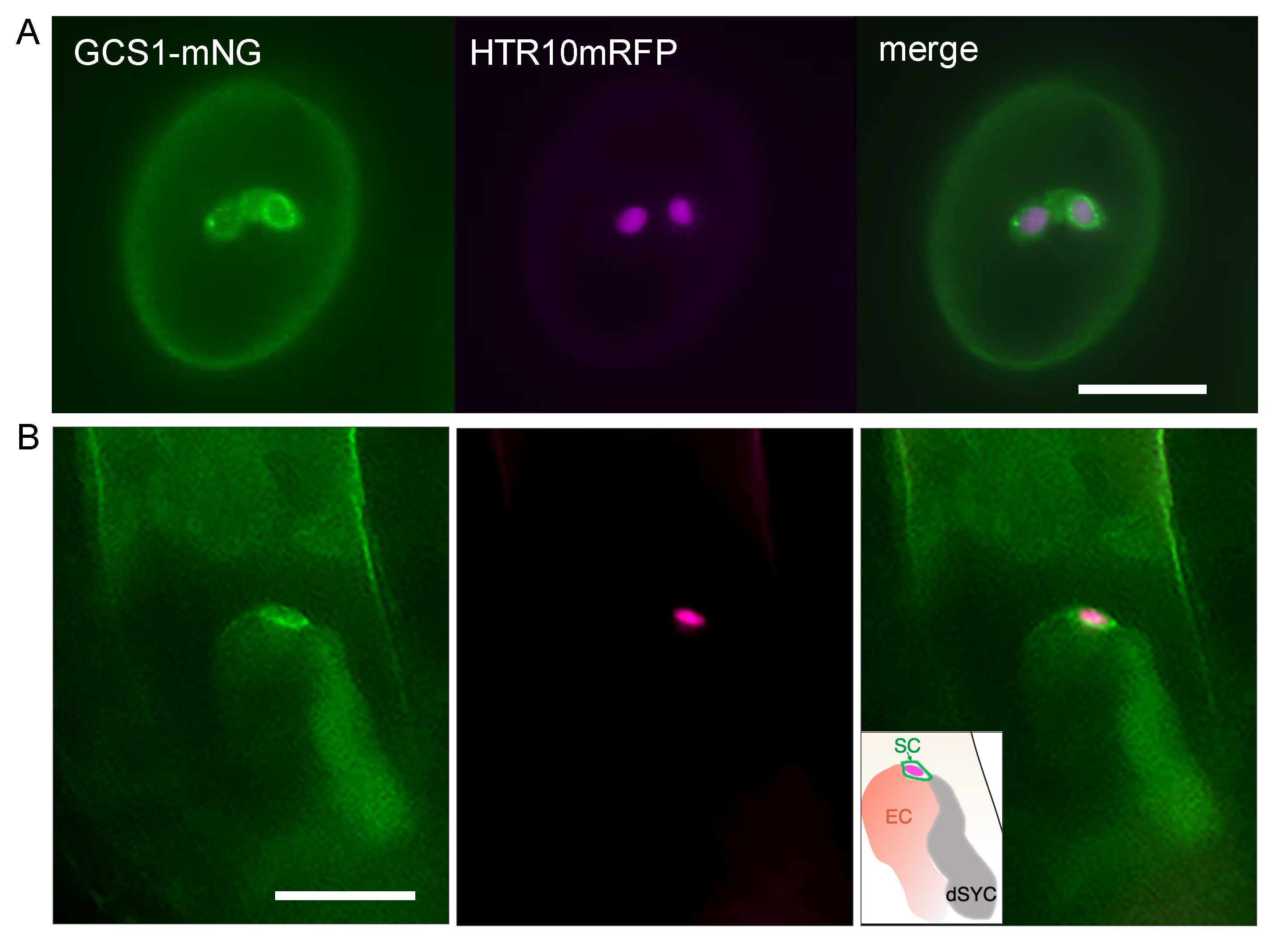 Biomolecules 13 00208 g002 Biomolecules 13 00208 g002