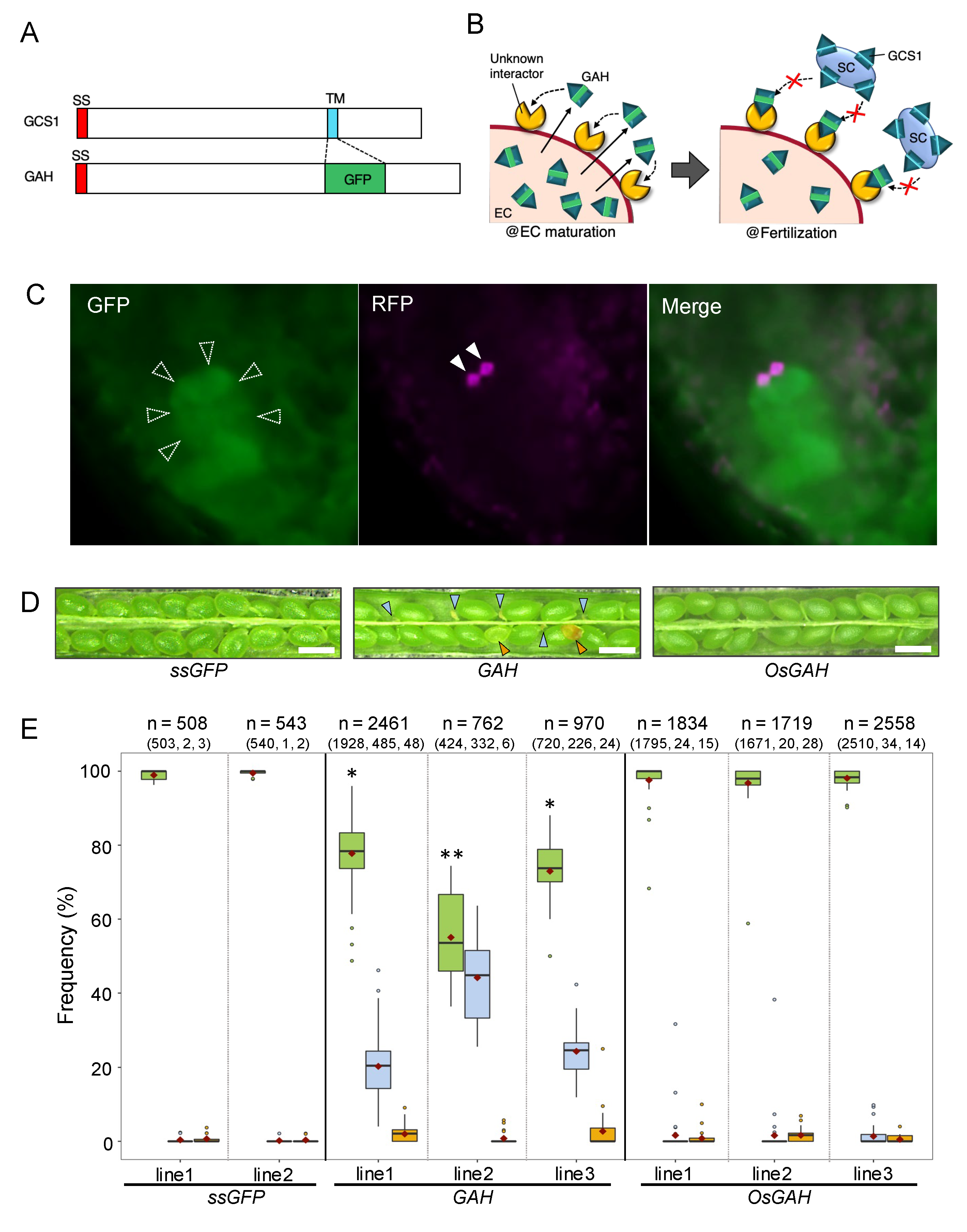 Biomolecules 13 00208 g003 Biomolecules 13 00208 g003