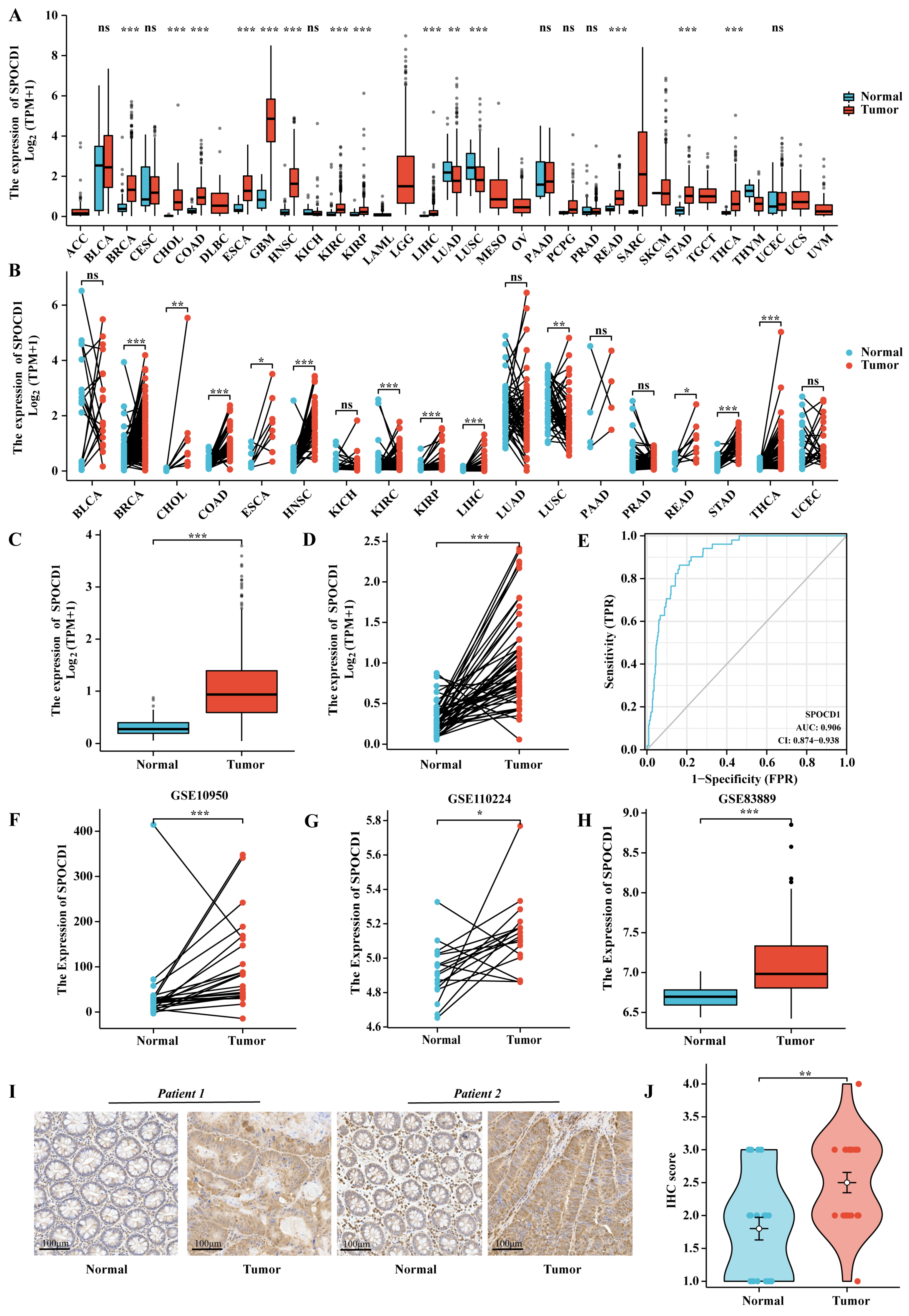 Biomolecules 13 00209 g001