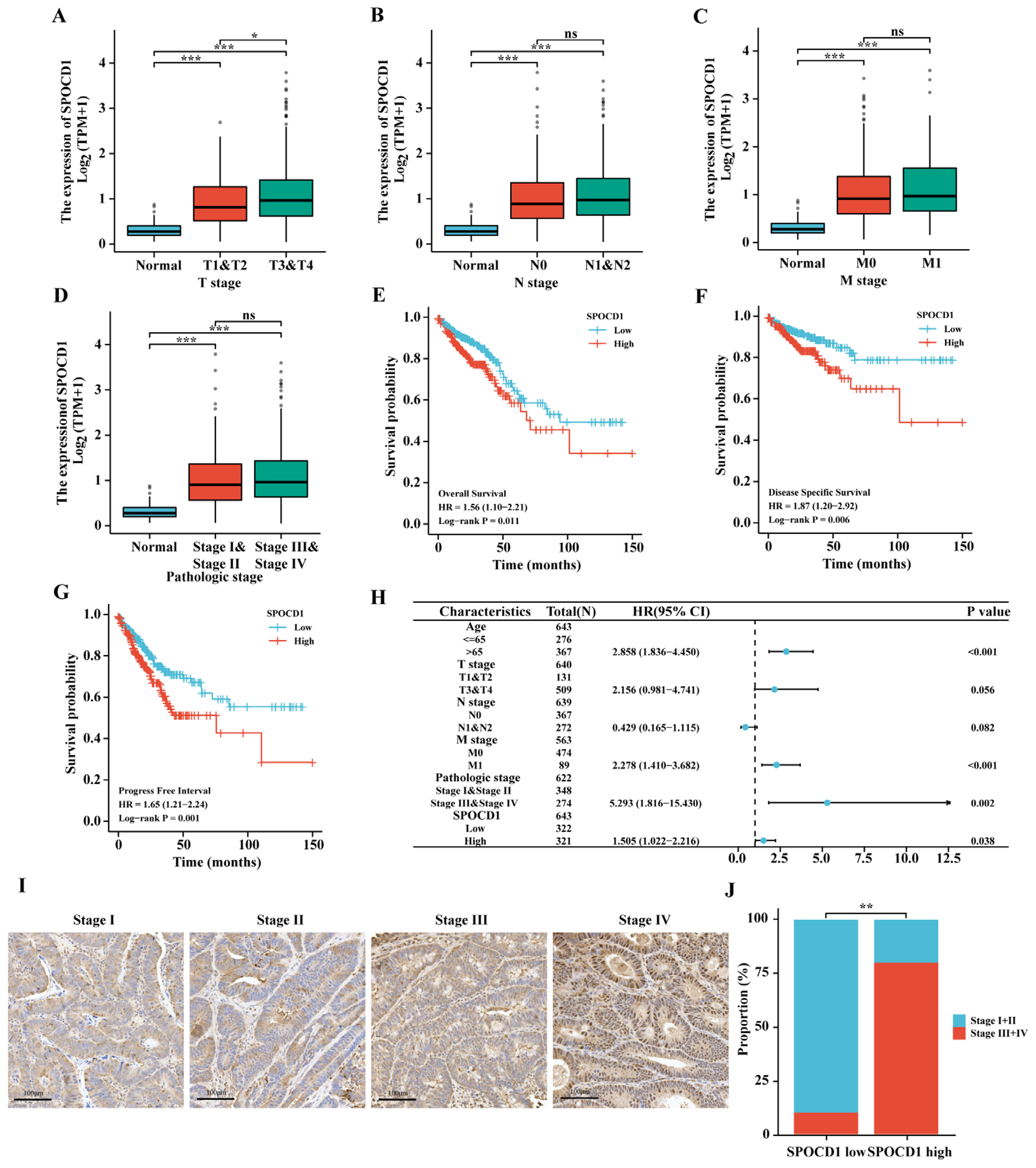 Biomolecules 13 00209 g002