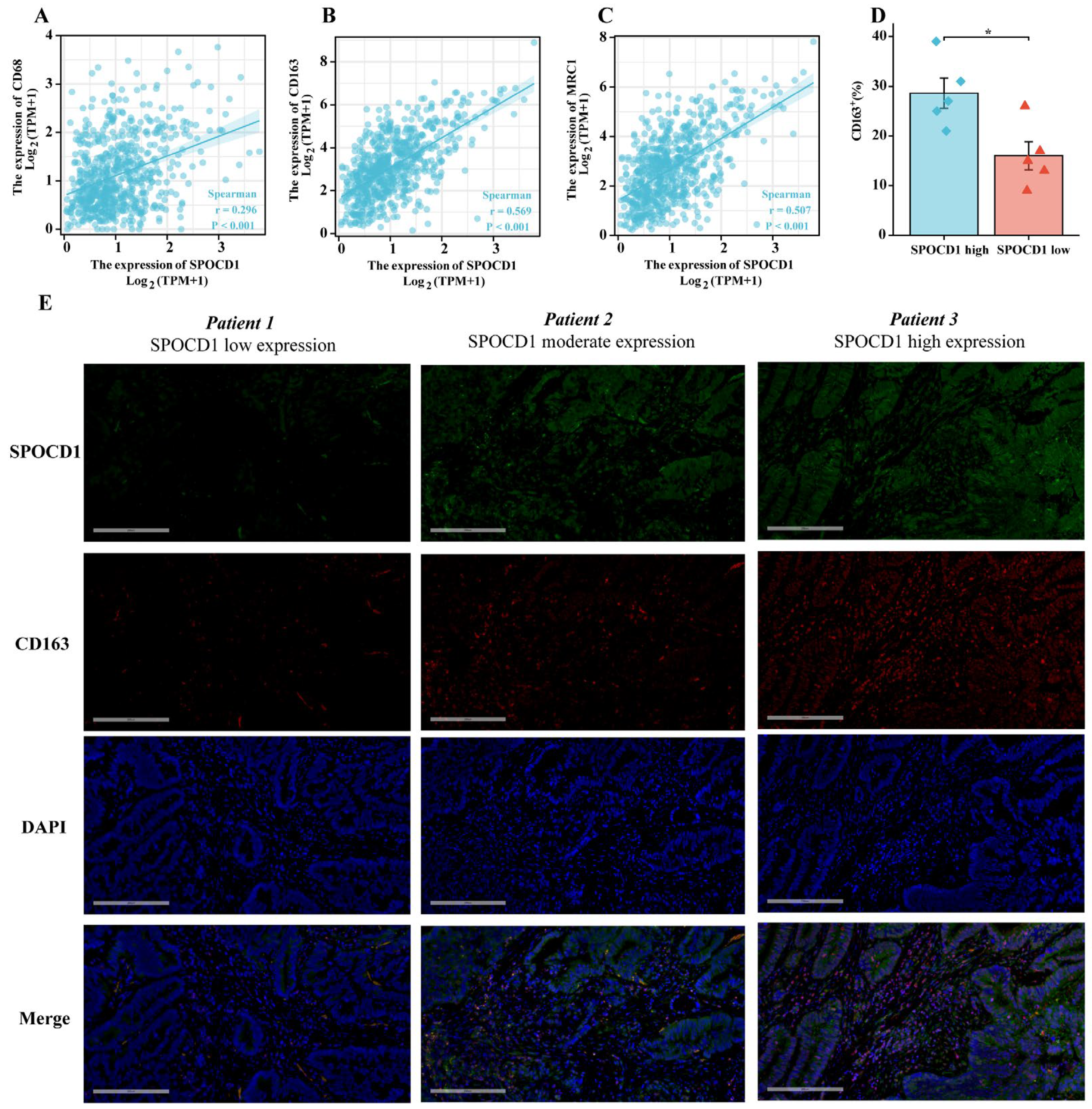 Biomolecules 13 00209 g005