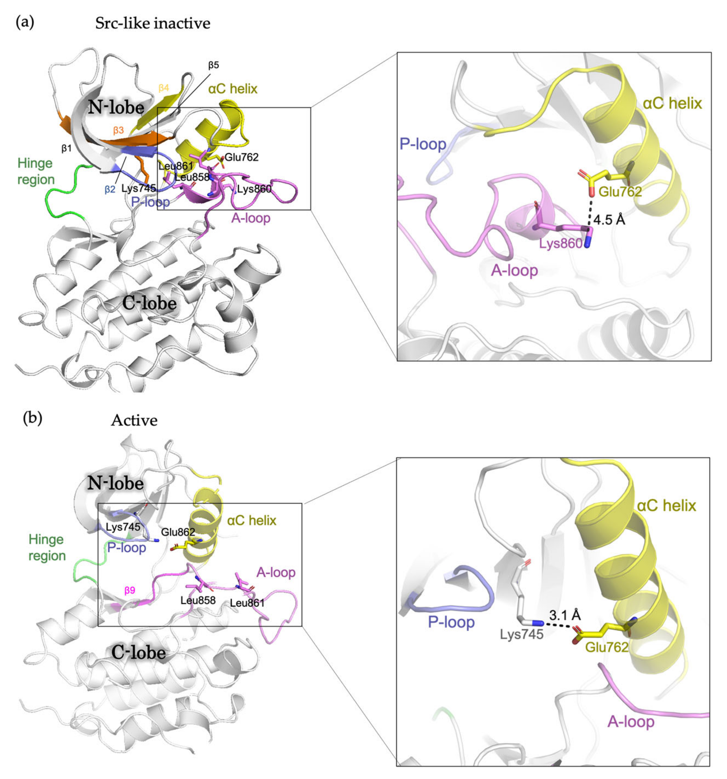 Biomolecules 13 00210 g001