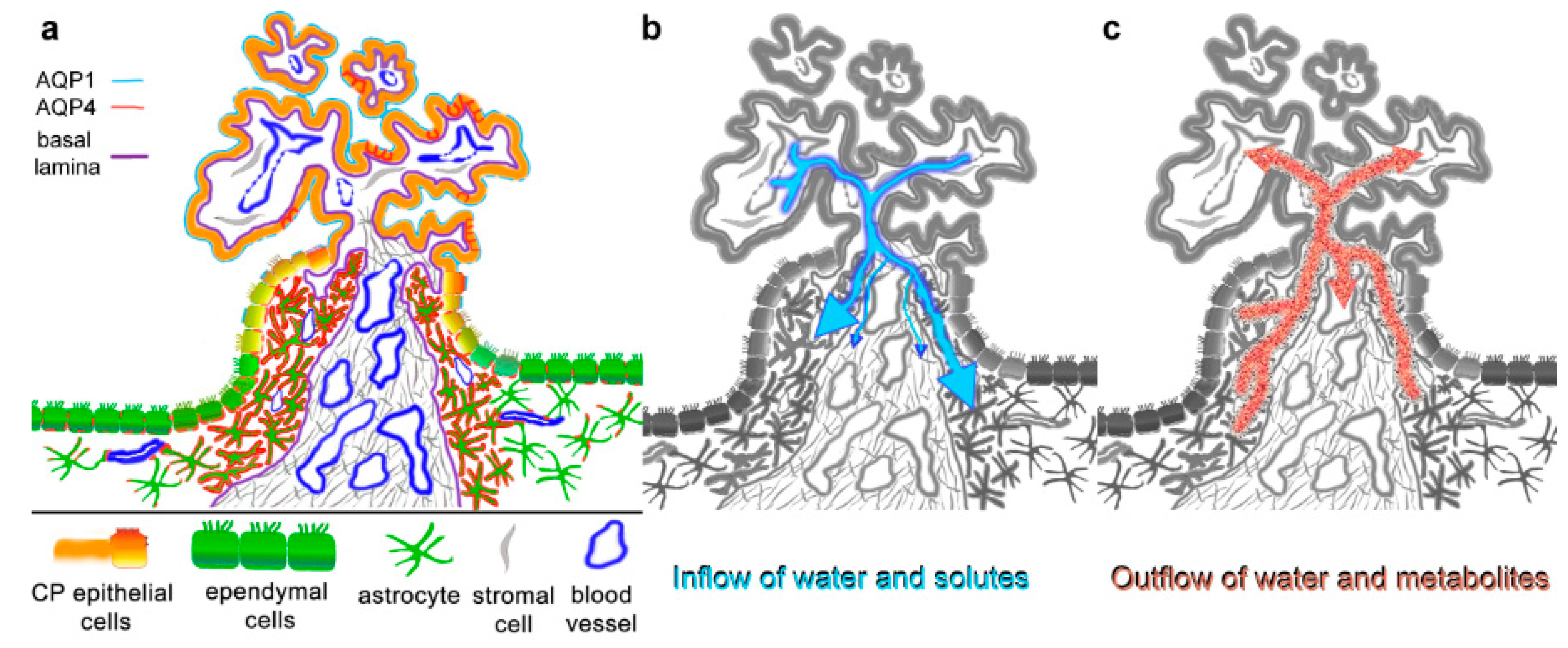 Biomolecules 13 00212 g005 Biomolecules 13 00212 g005