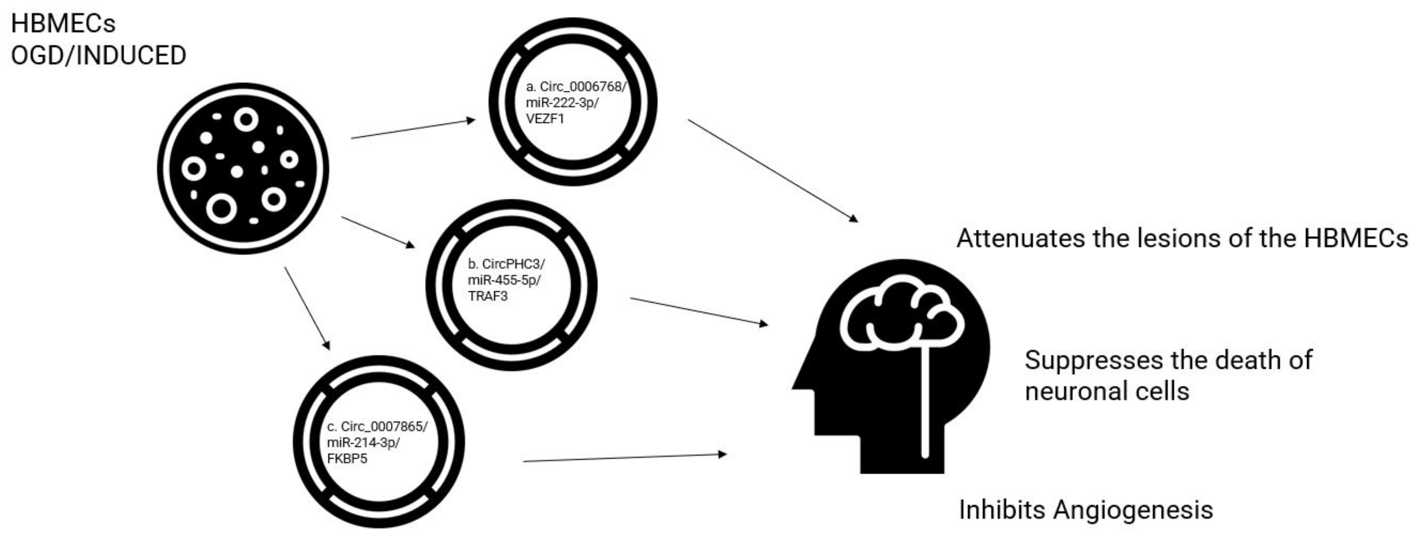 Biomolecules 13 00214 g003